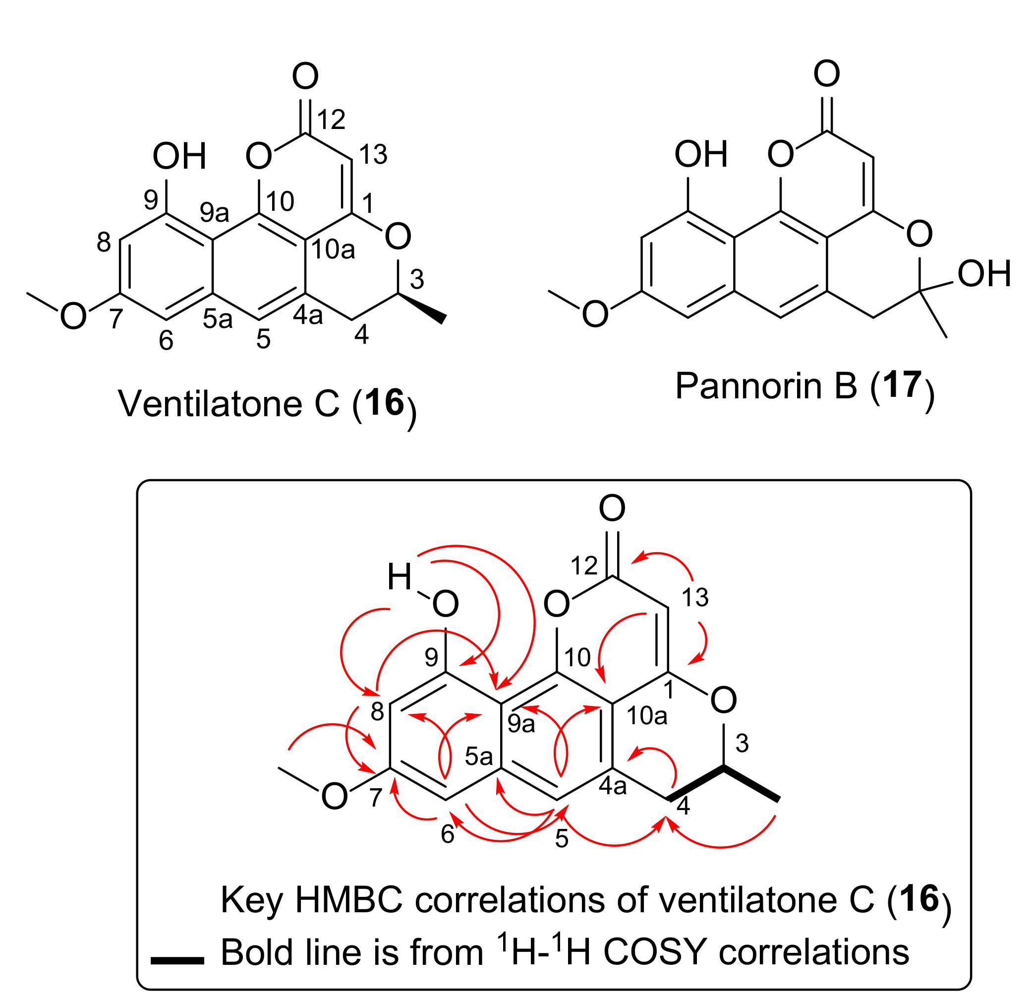 Antibiotics 09 00606 g006