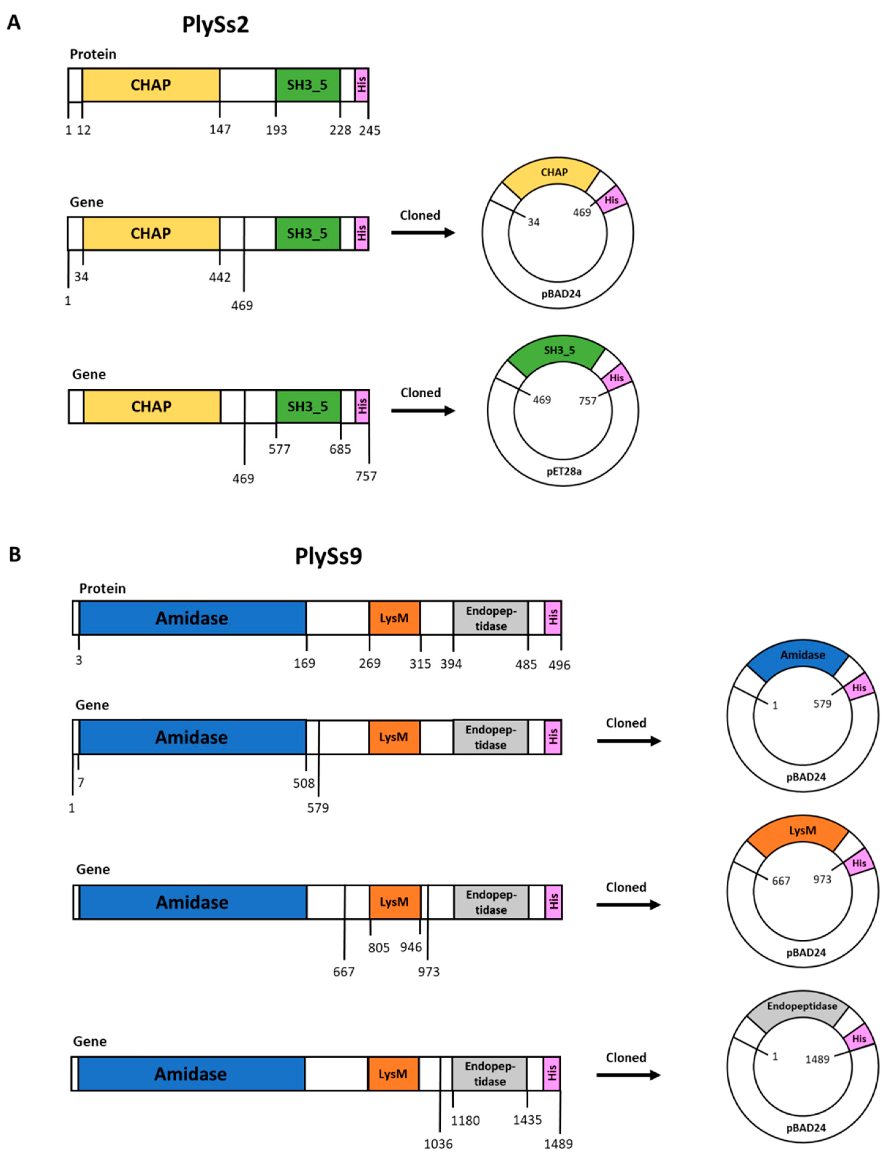 Antibiotics 09 00621 g001