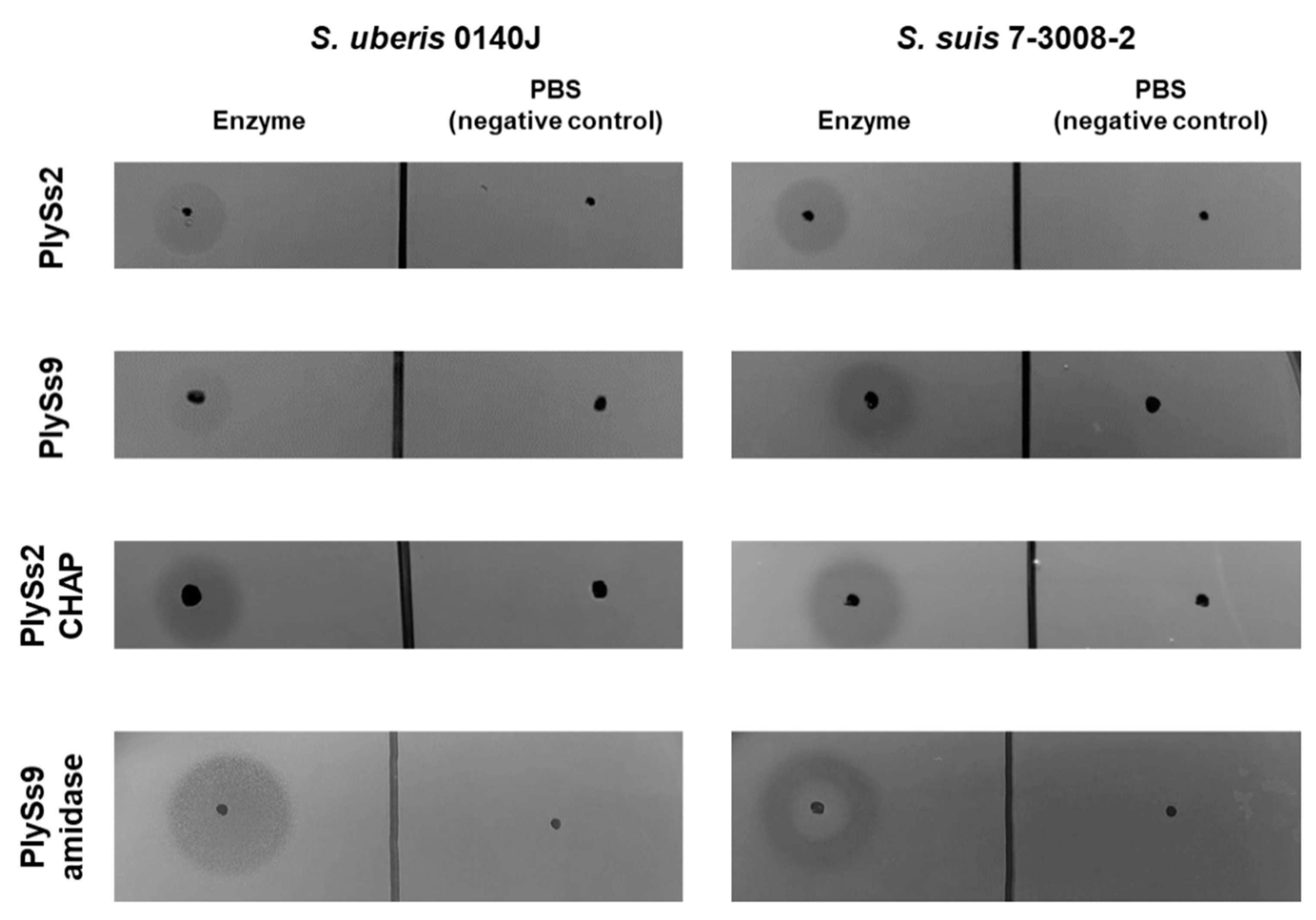 Antibiotics 09 00621 g002