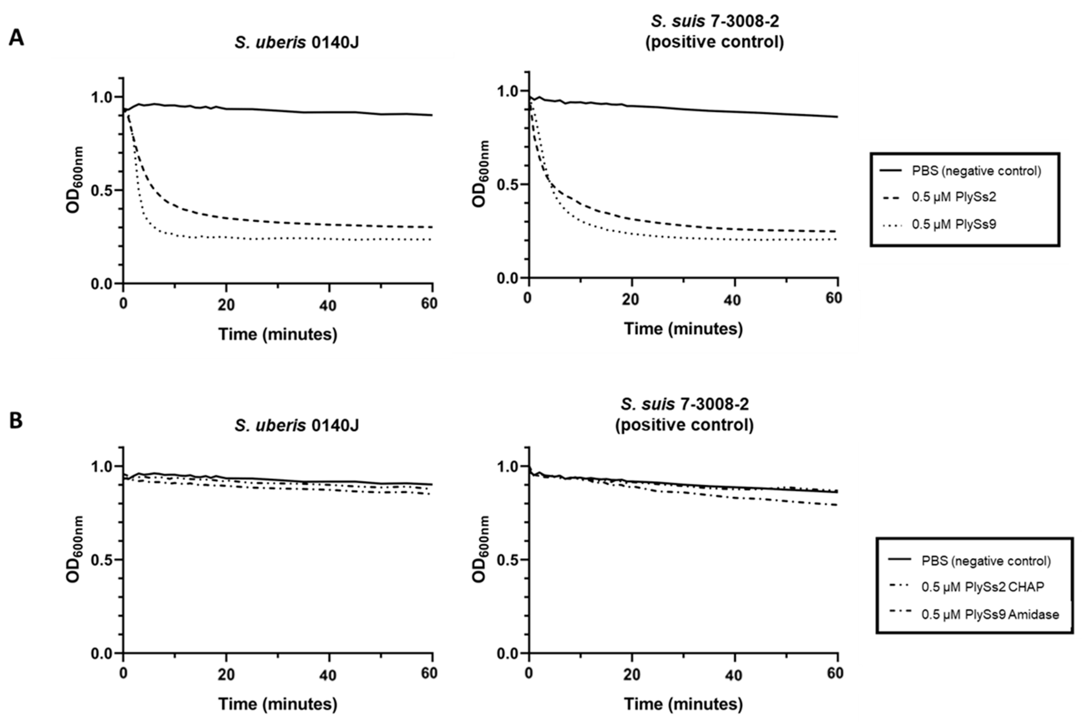 Antibiotics 09 00621 g003