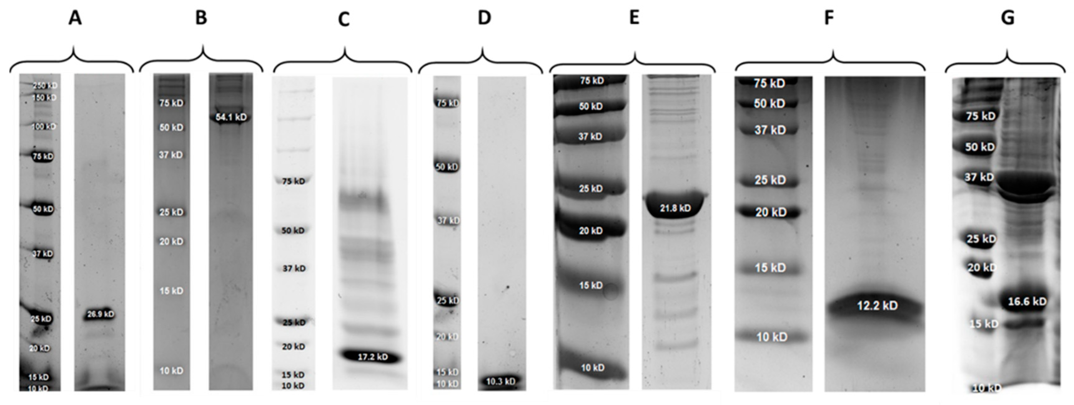 Antibiotics 09 00621 g0a1
