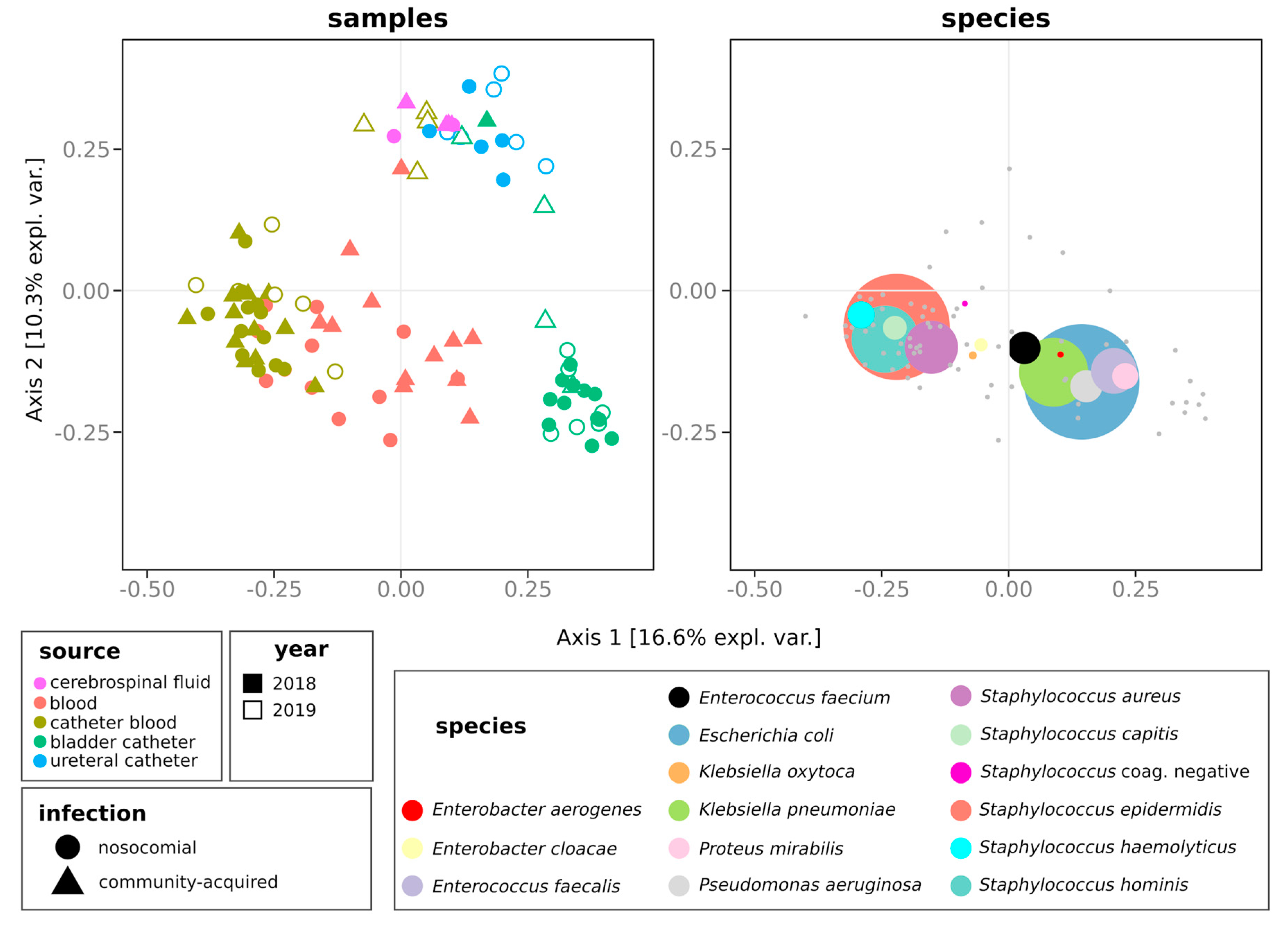 Antibiotics 09 00631 g003