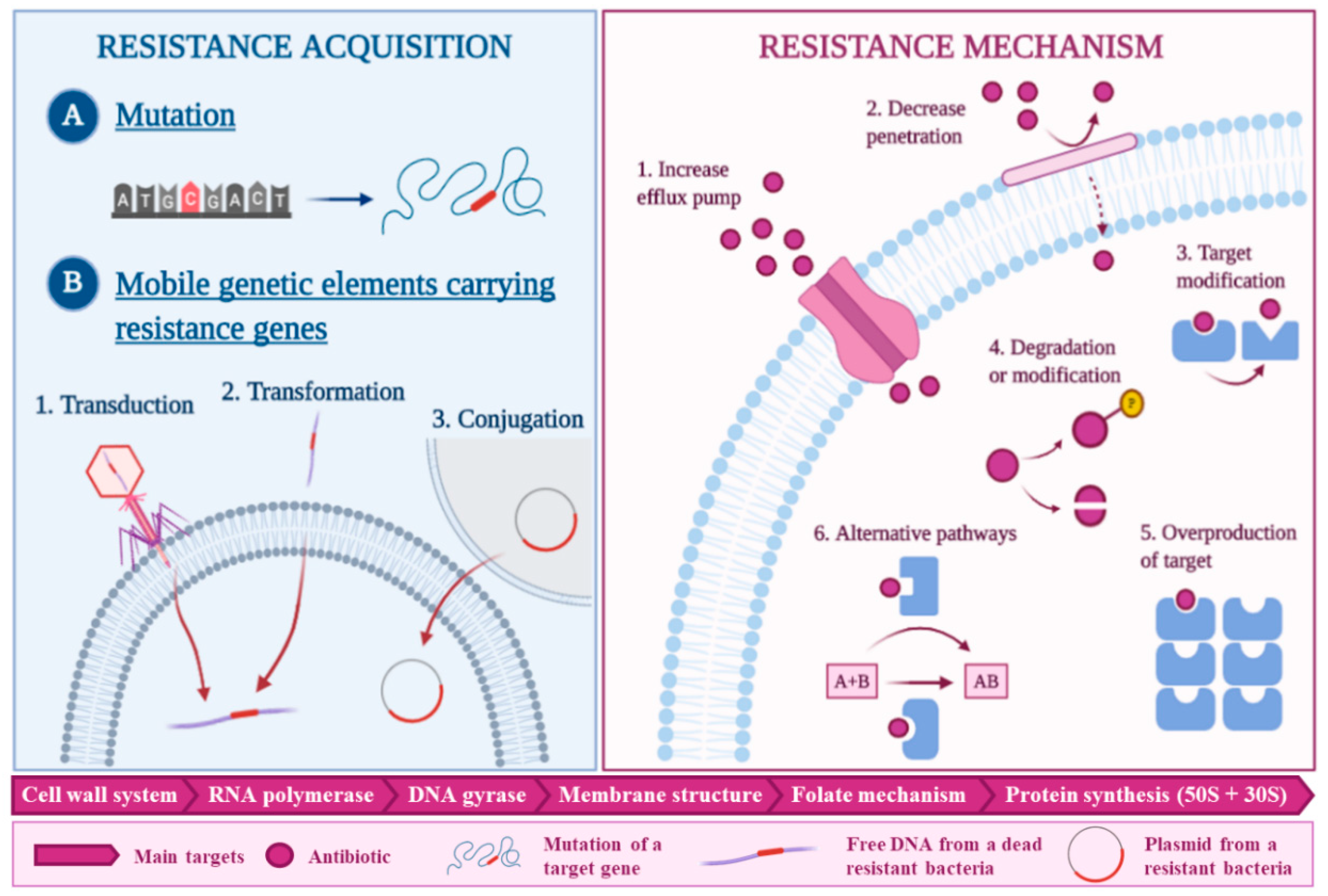 Antibiotics 09 00642 g001