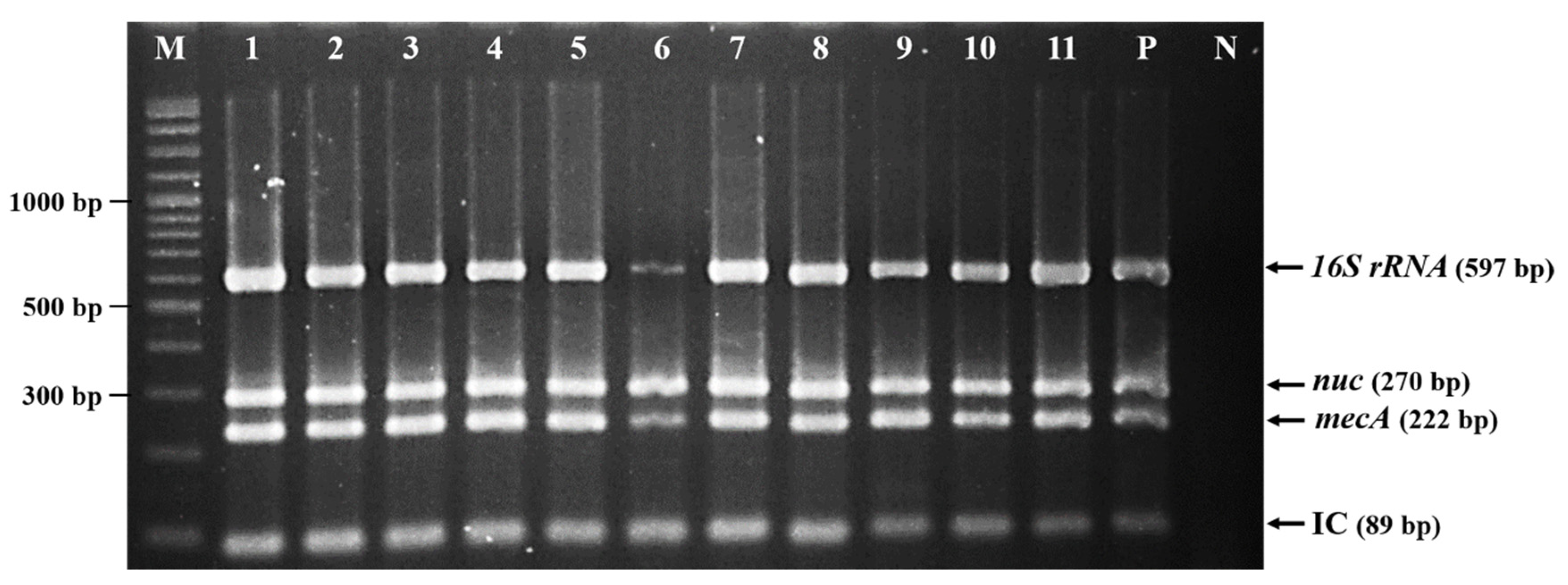 Antibiotics 09 00651 g001 Antibiotics 09 00651 g001