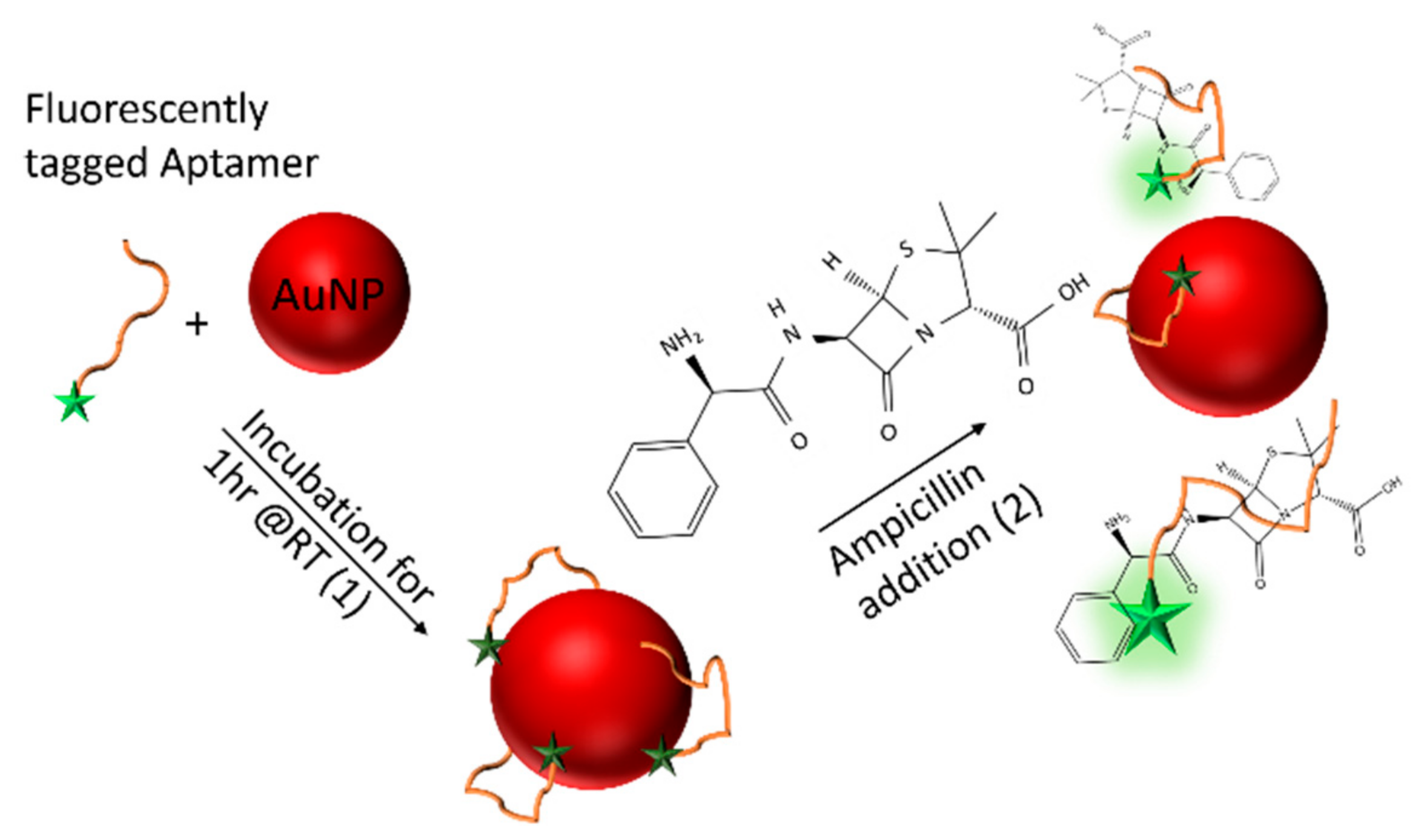 Online Ampicillin