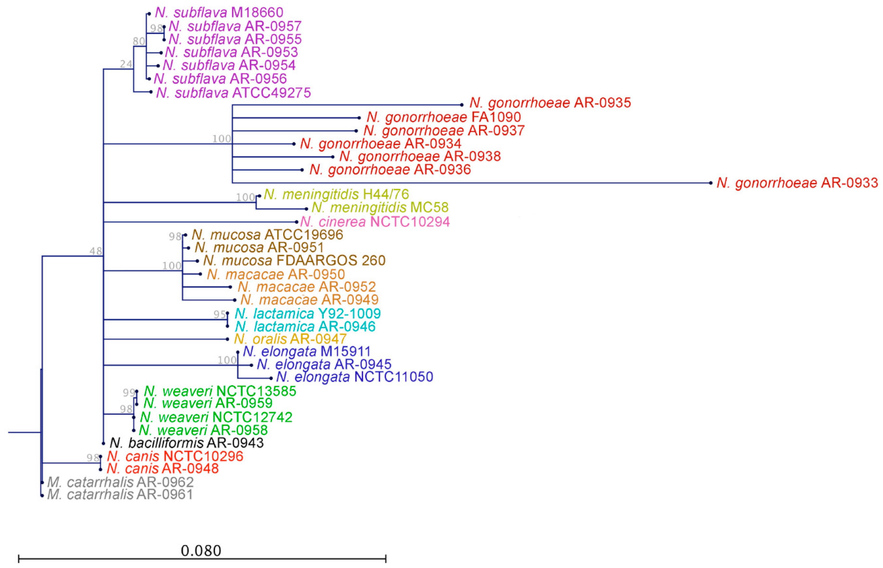 Antibiotics 09 00656 g001