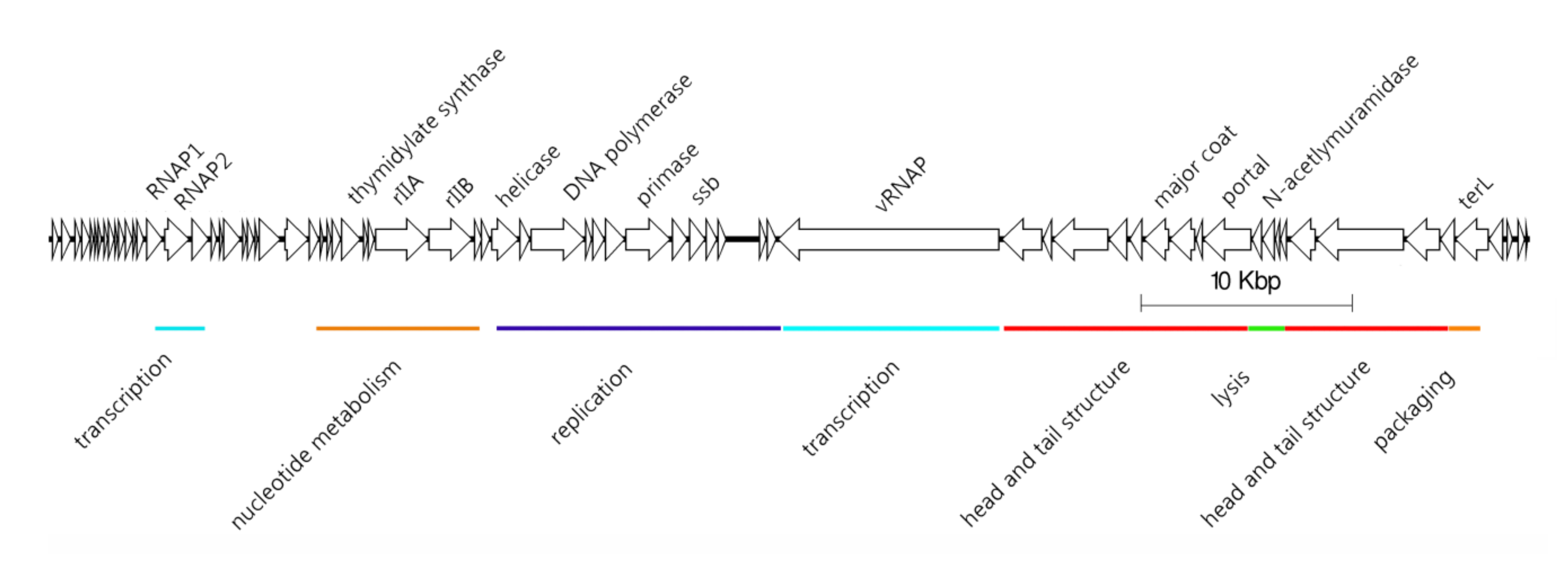 Antibiotics 09 00663 g001 Antibiotics 09 00663 g001