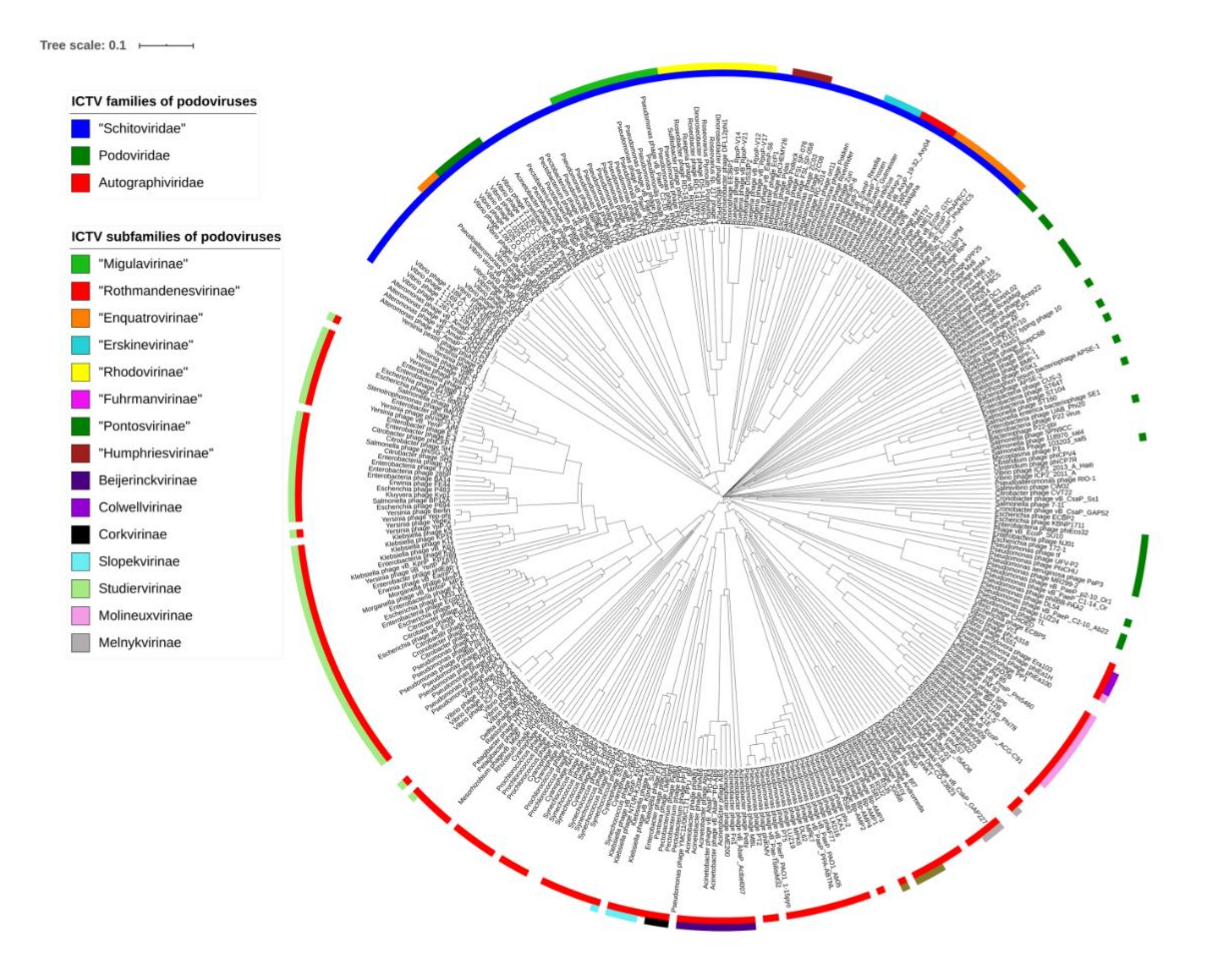 Antibiotics 09 00663 g002 Antibiotics 09 00663 g002