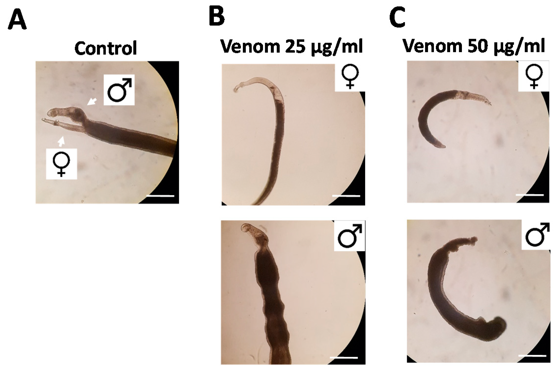 Antibiotics 09 00664 g002