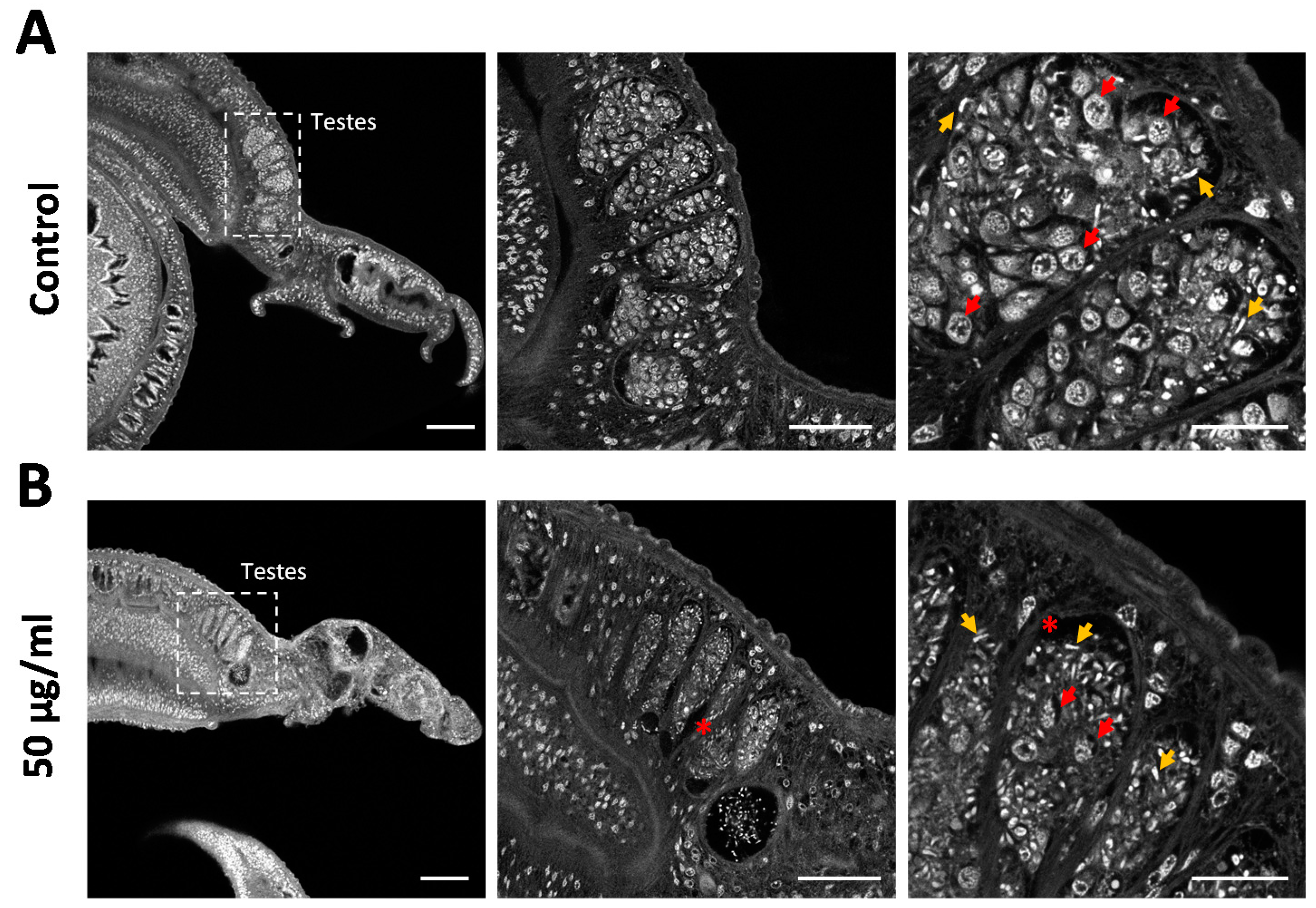 Antibiotics 09 00664 g006