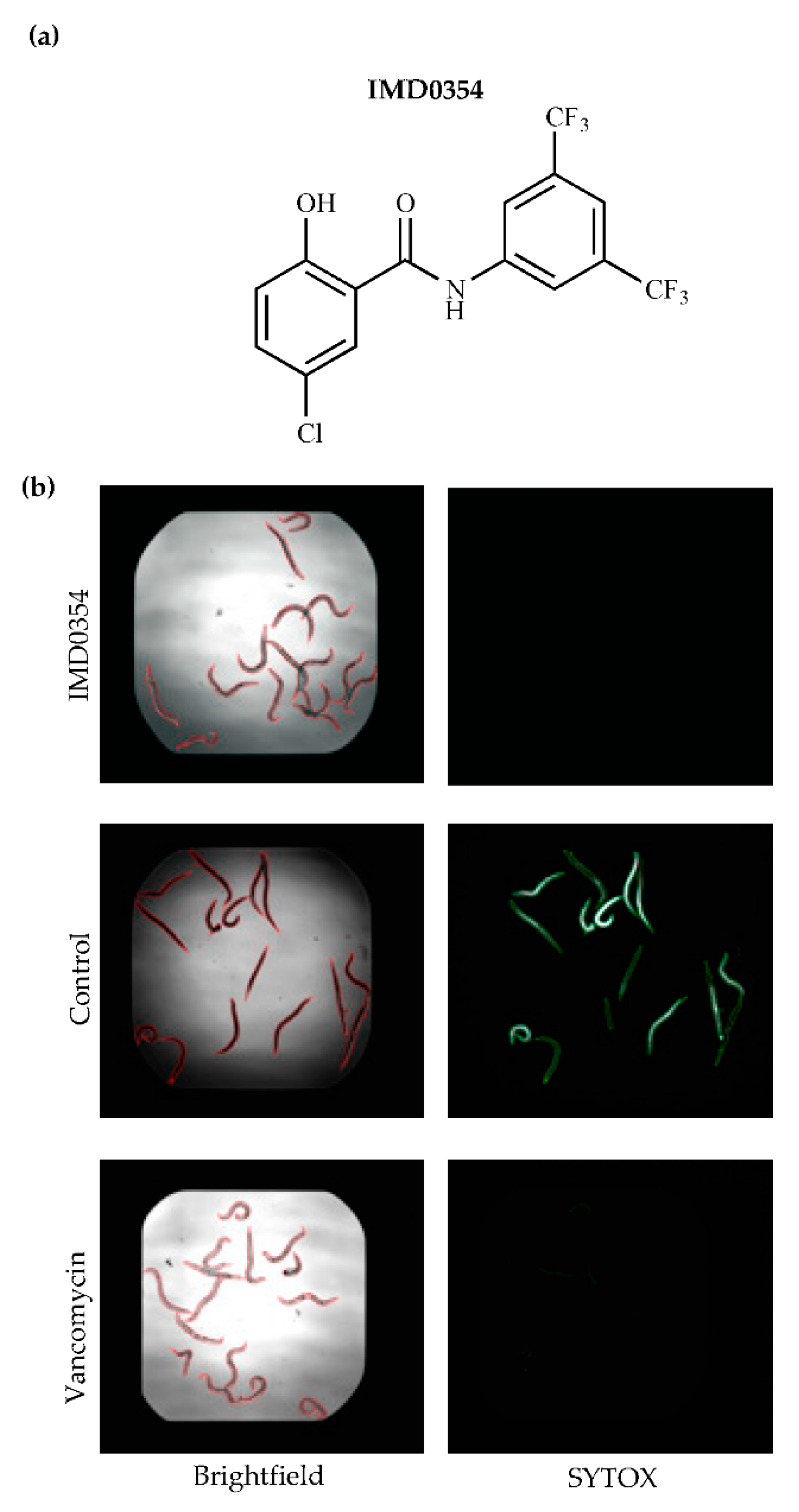 Antibiotics 09 00665 g001