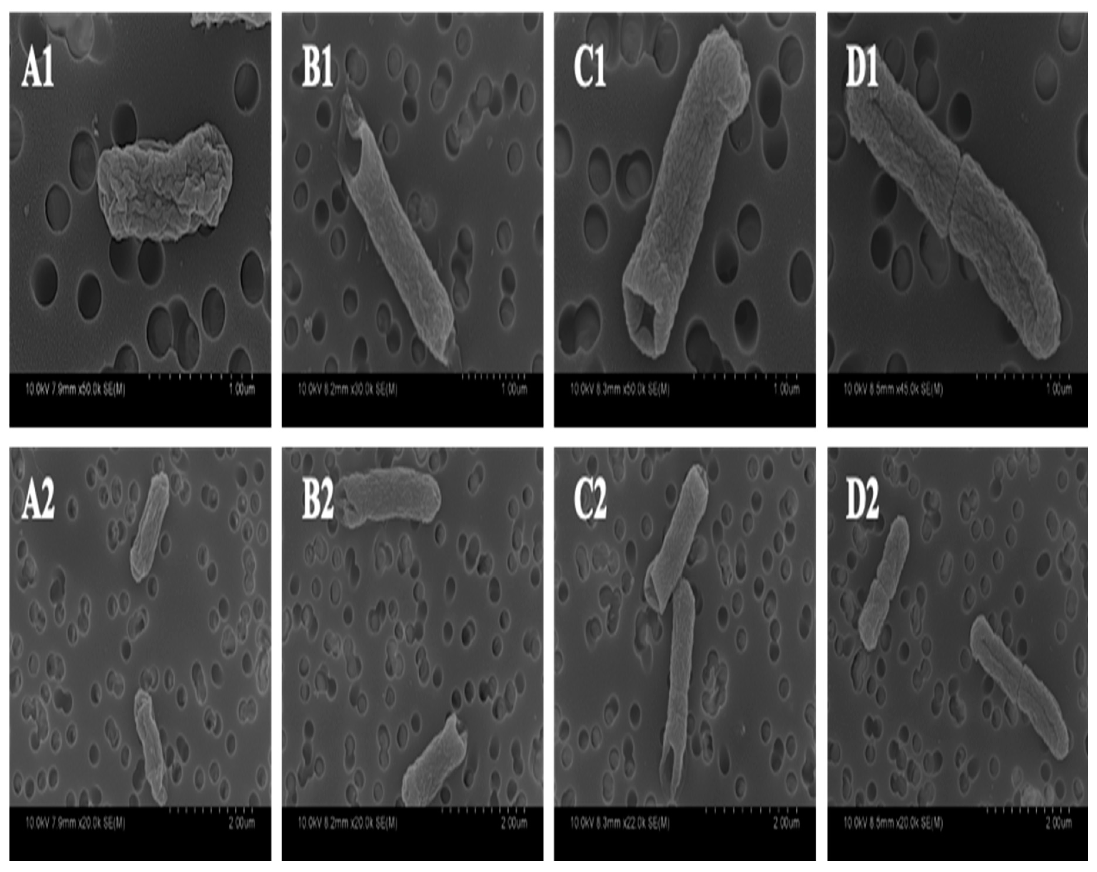 Antibiotics 09 00668 g005 Antibiotics 09 00668 g005