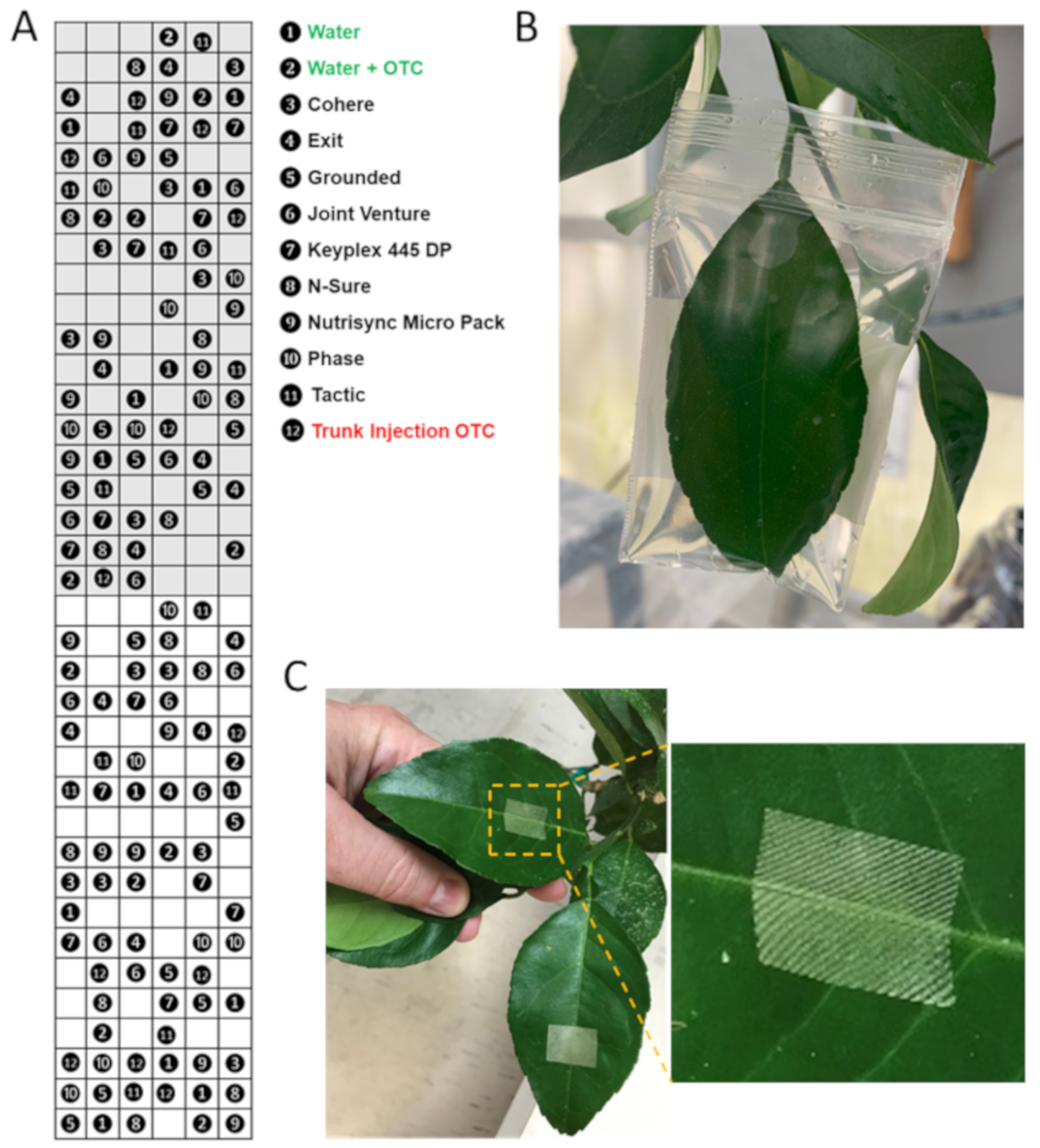 Antibiotics 09 00677 g005