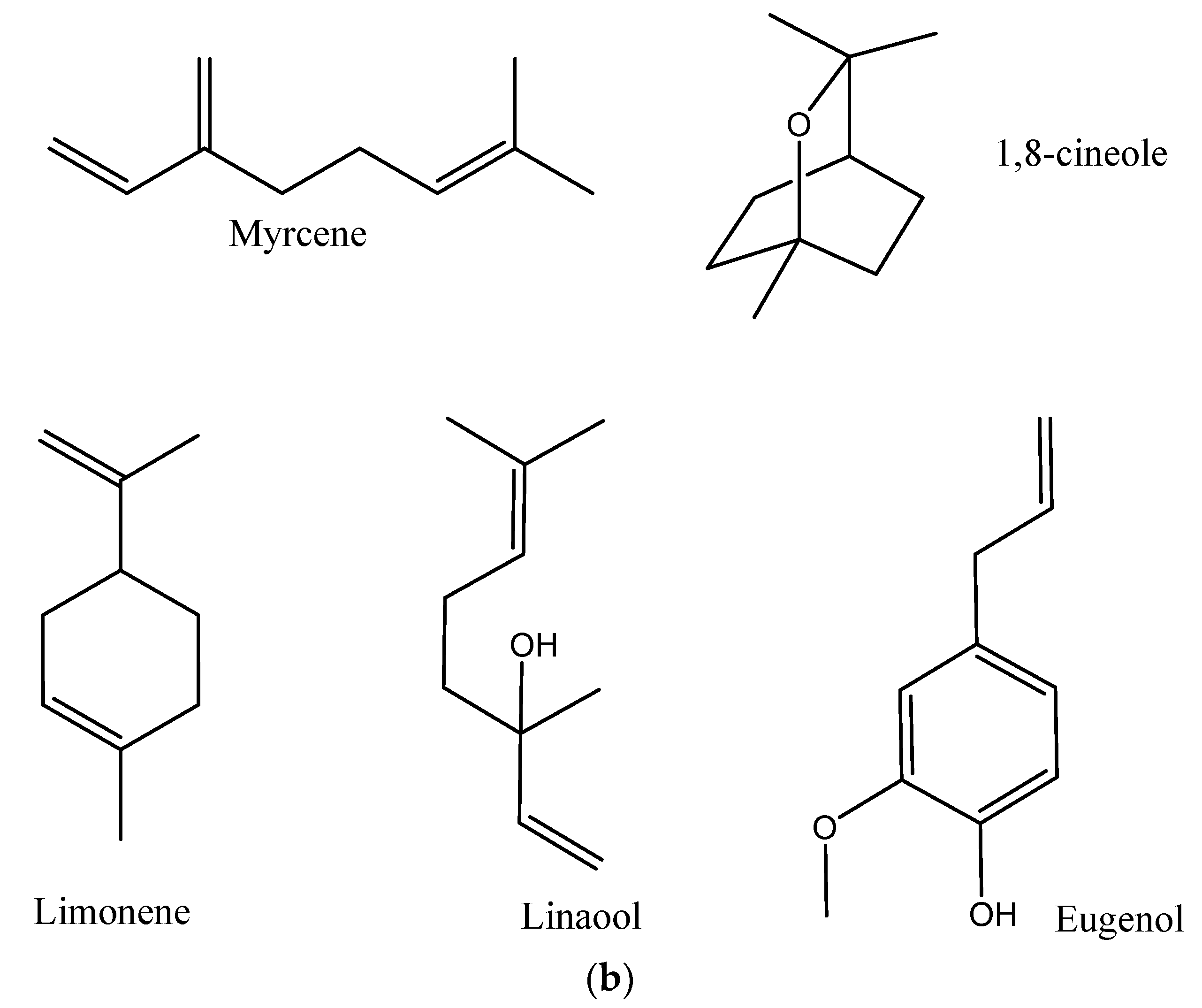 Antibiotics 09 00679 g002b Antibiotics 09 00679 g002b