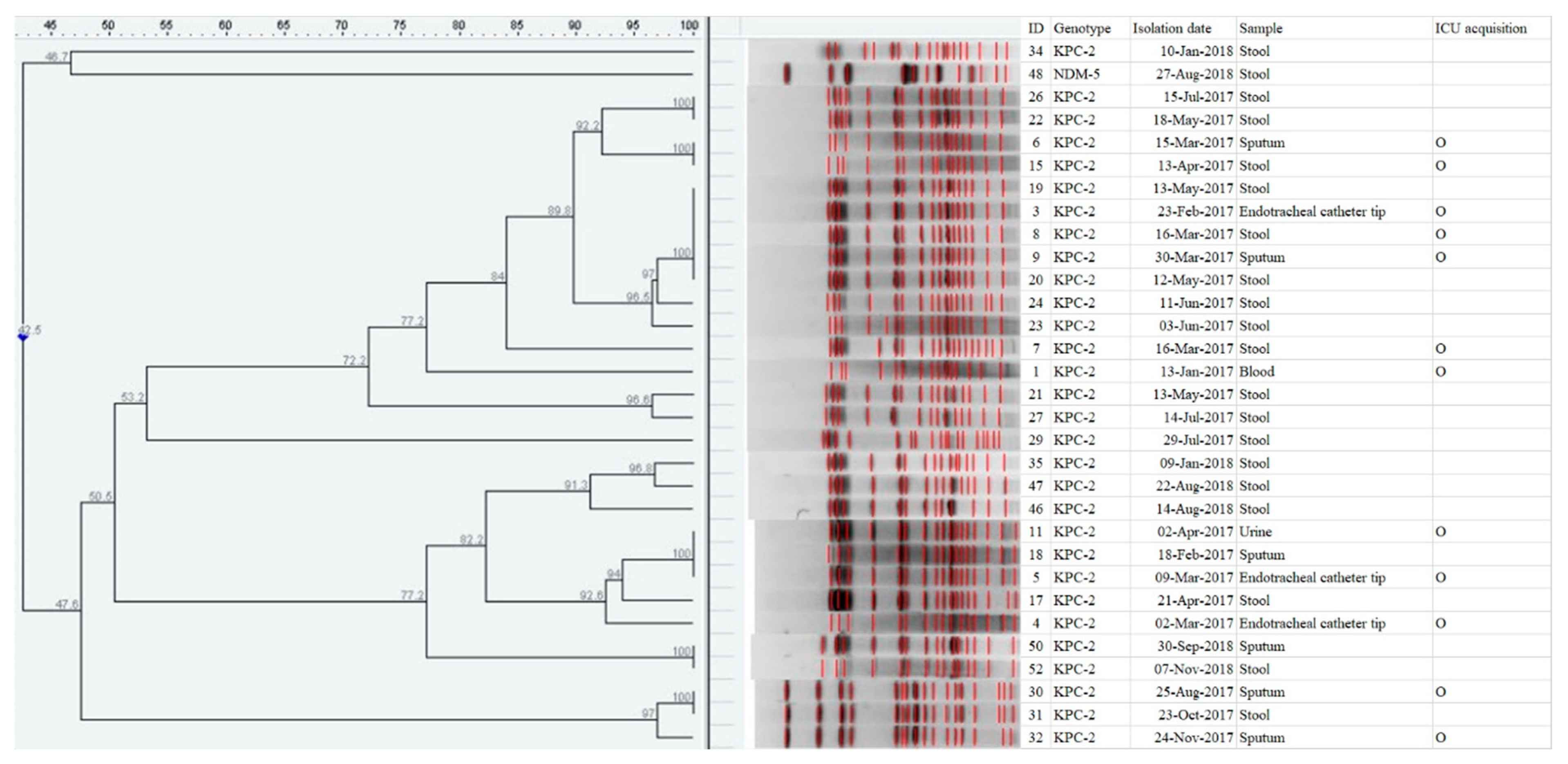 Antibiotics 09 00680 g001 Antibiotics 09 00680 g001