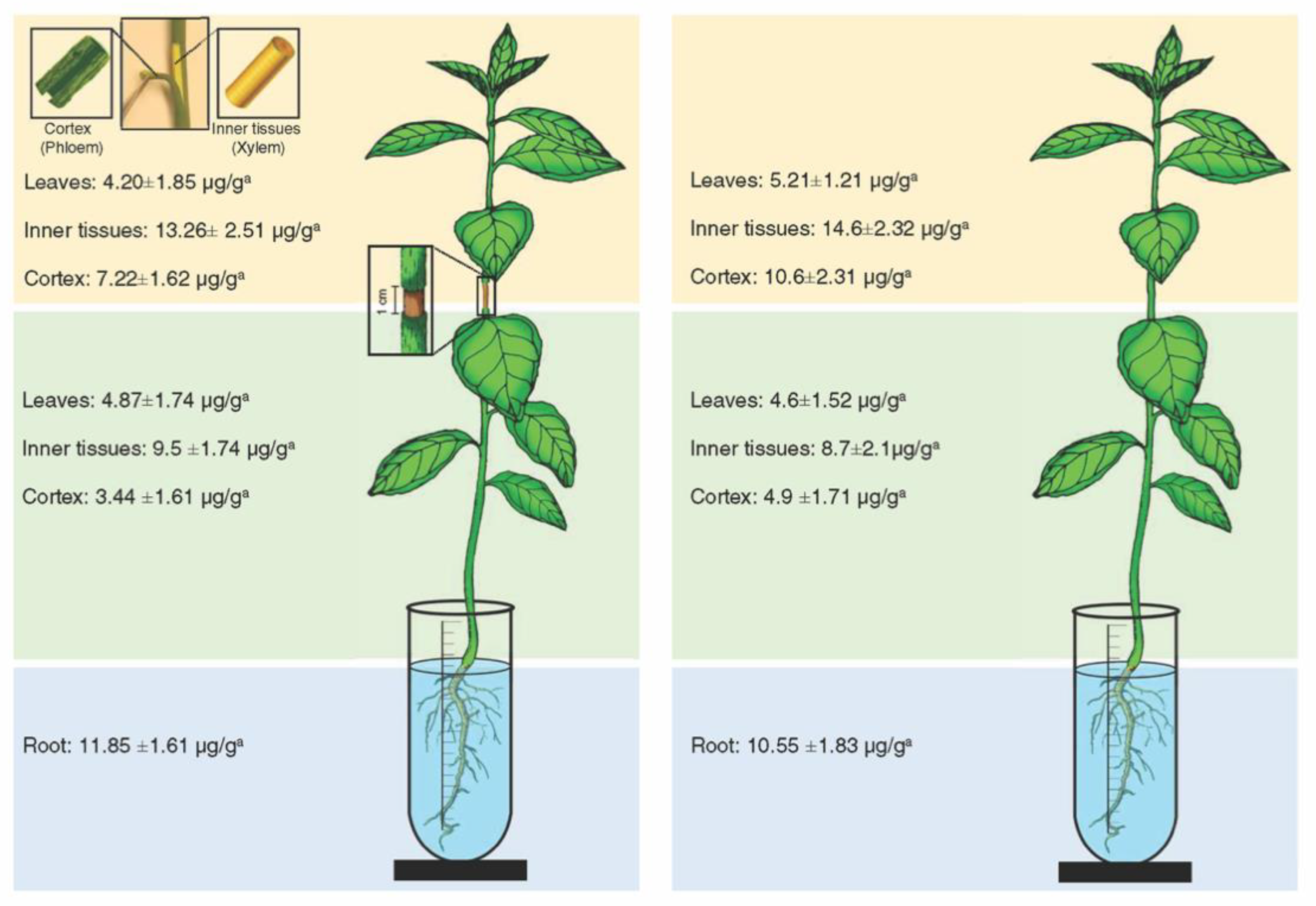 Antibiotics 09 00691 g002