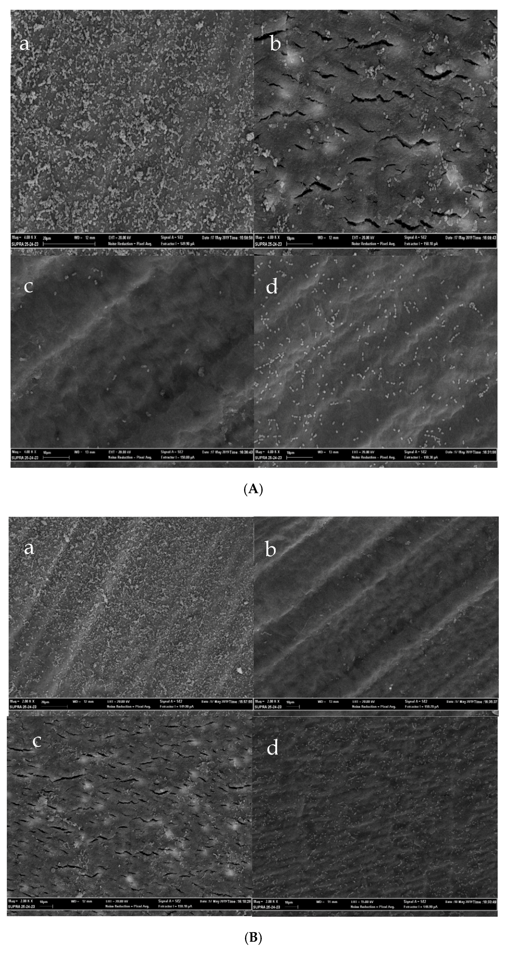 Antibiotics 09 00692 g005 Antibiotics 09 00692 g005
