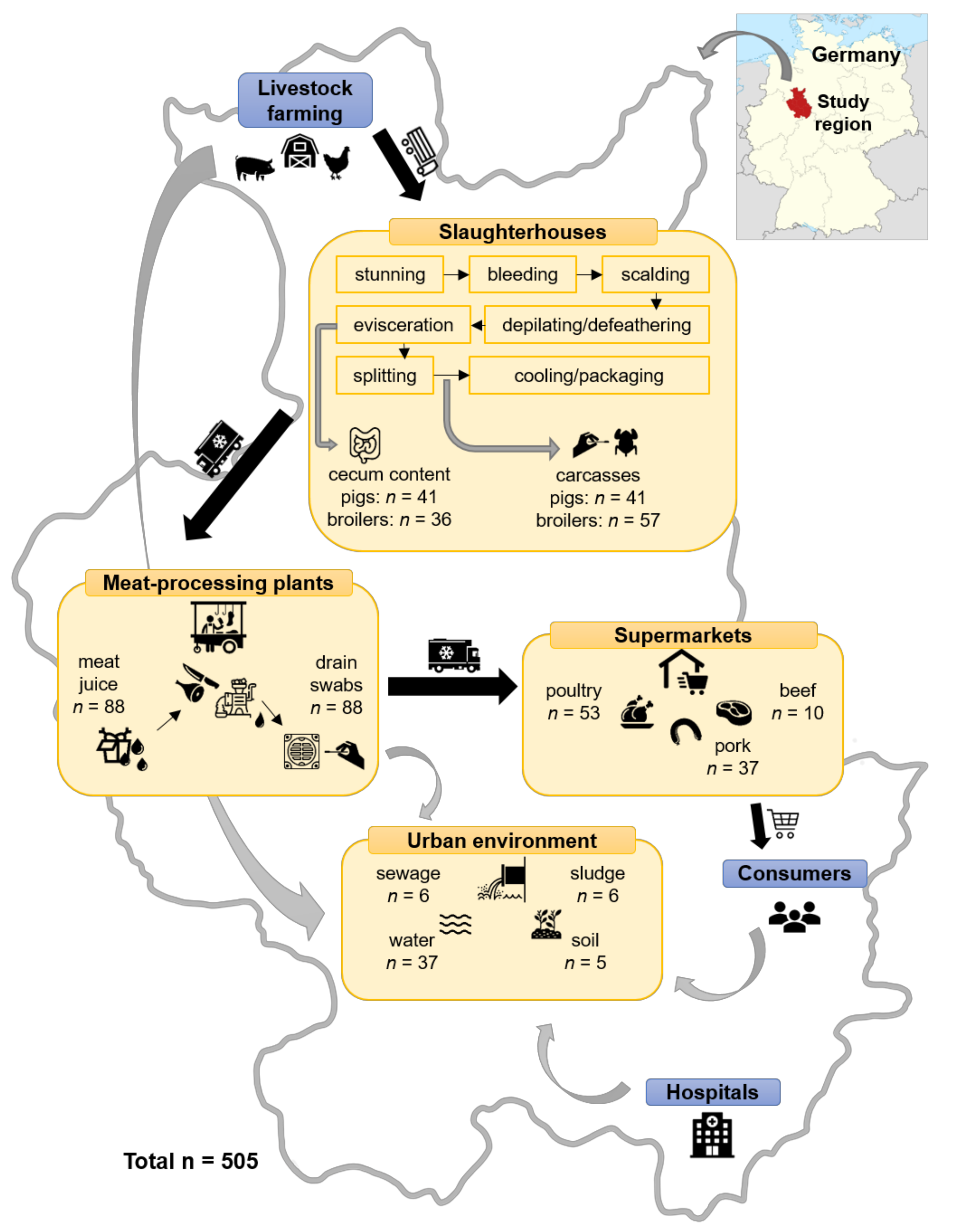 Antibiotics 09 00708 g005