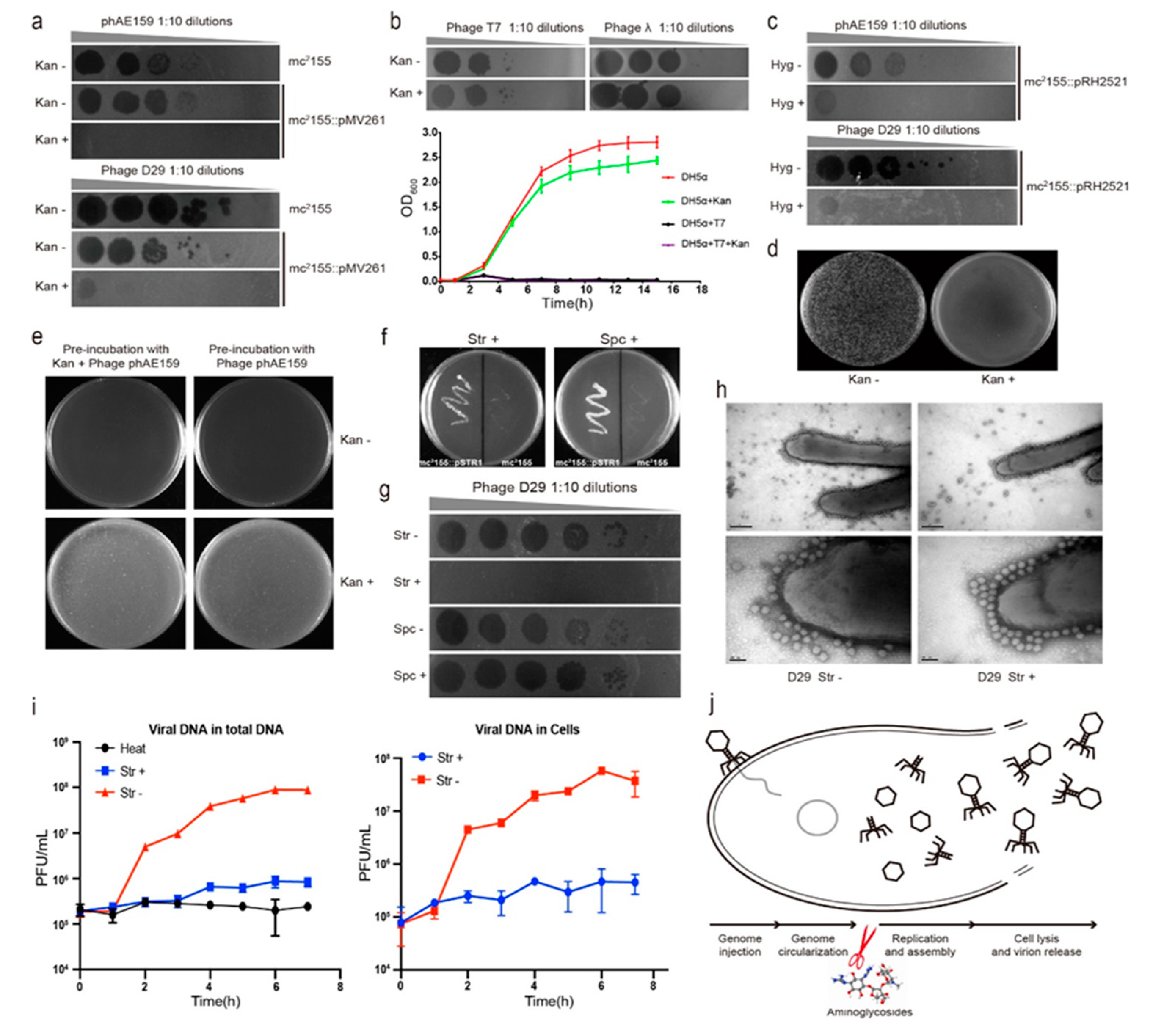 Antibiotics 09 00714 g001 Antibiotics 09 00714 g001