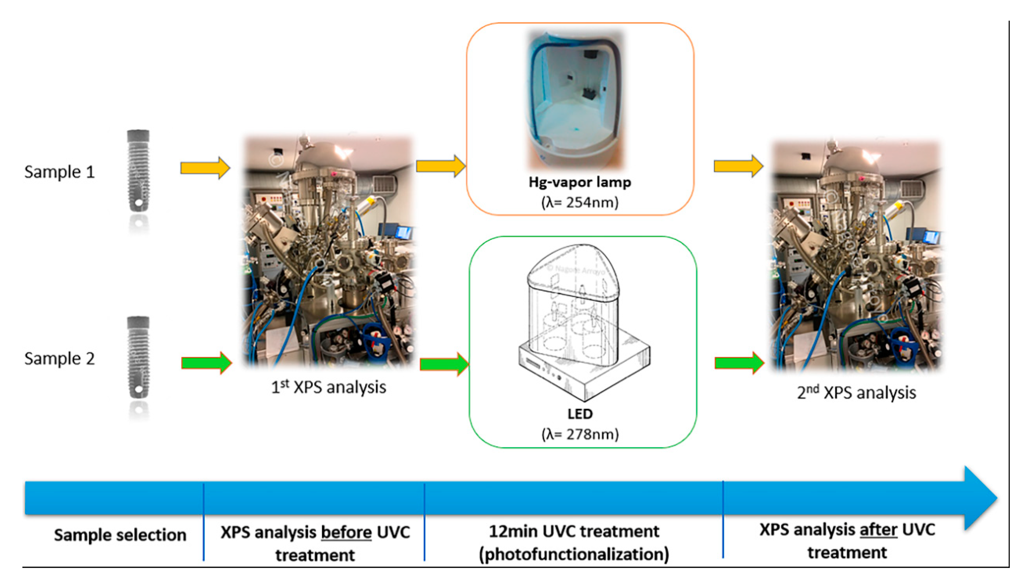 Antibiotics 09 00724 g004 Antibiotics 09 00724 g004