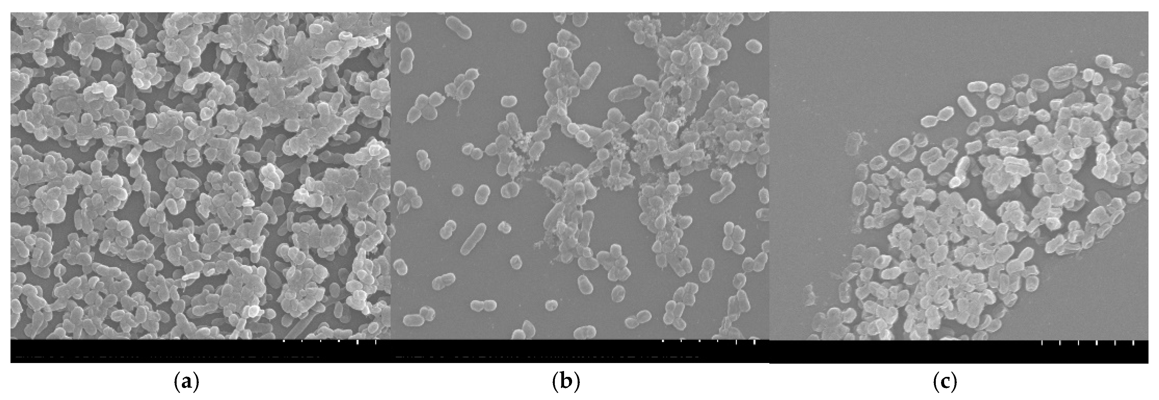 Antibiotics 09 00731 g001