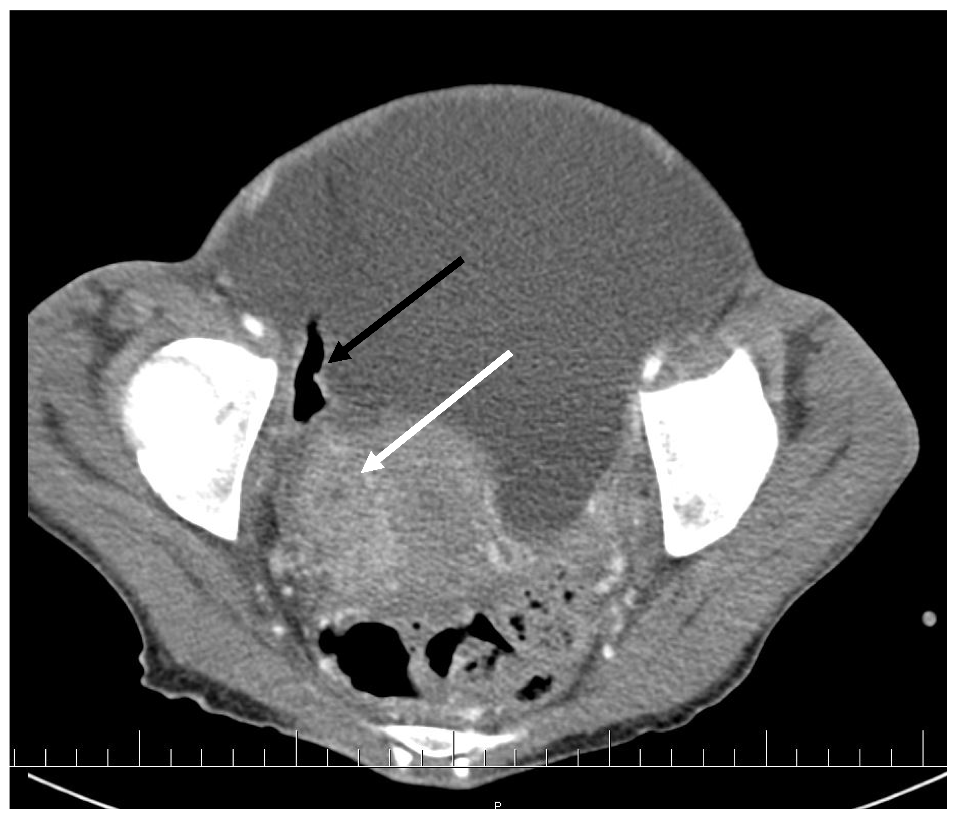 Antibiotics 09 00748 g001