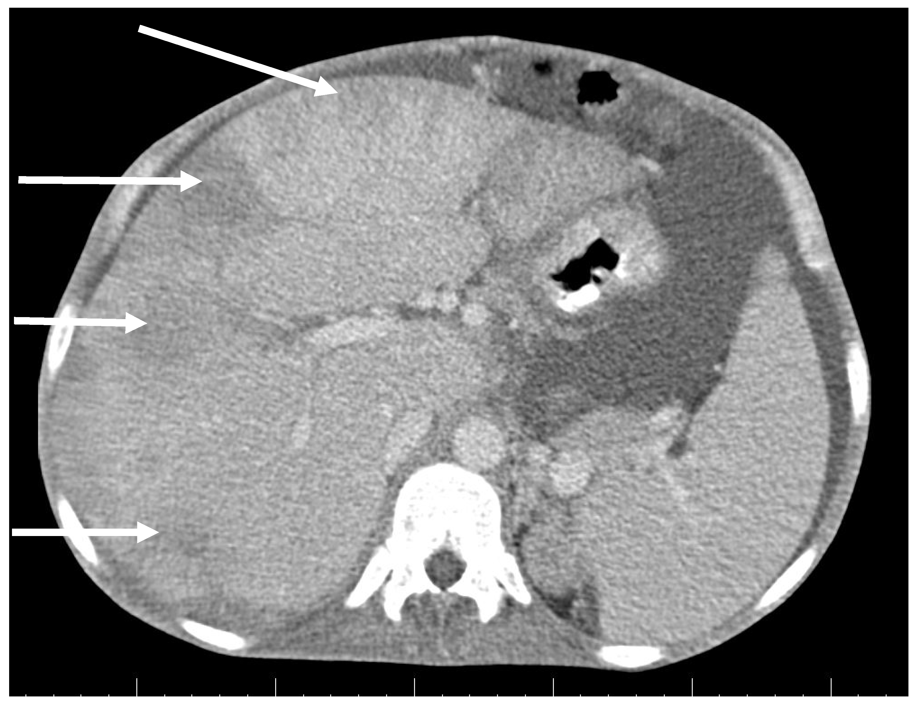 Antibiotics 09 00748 g002