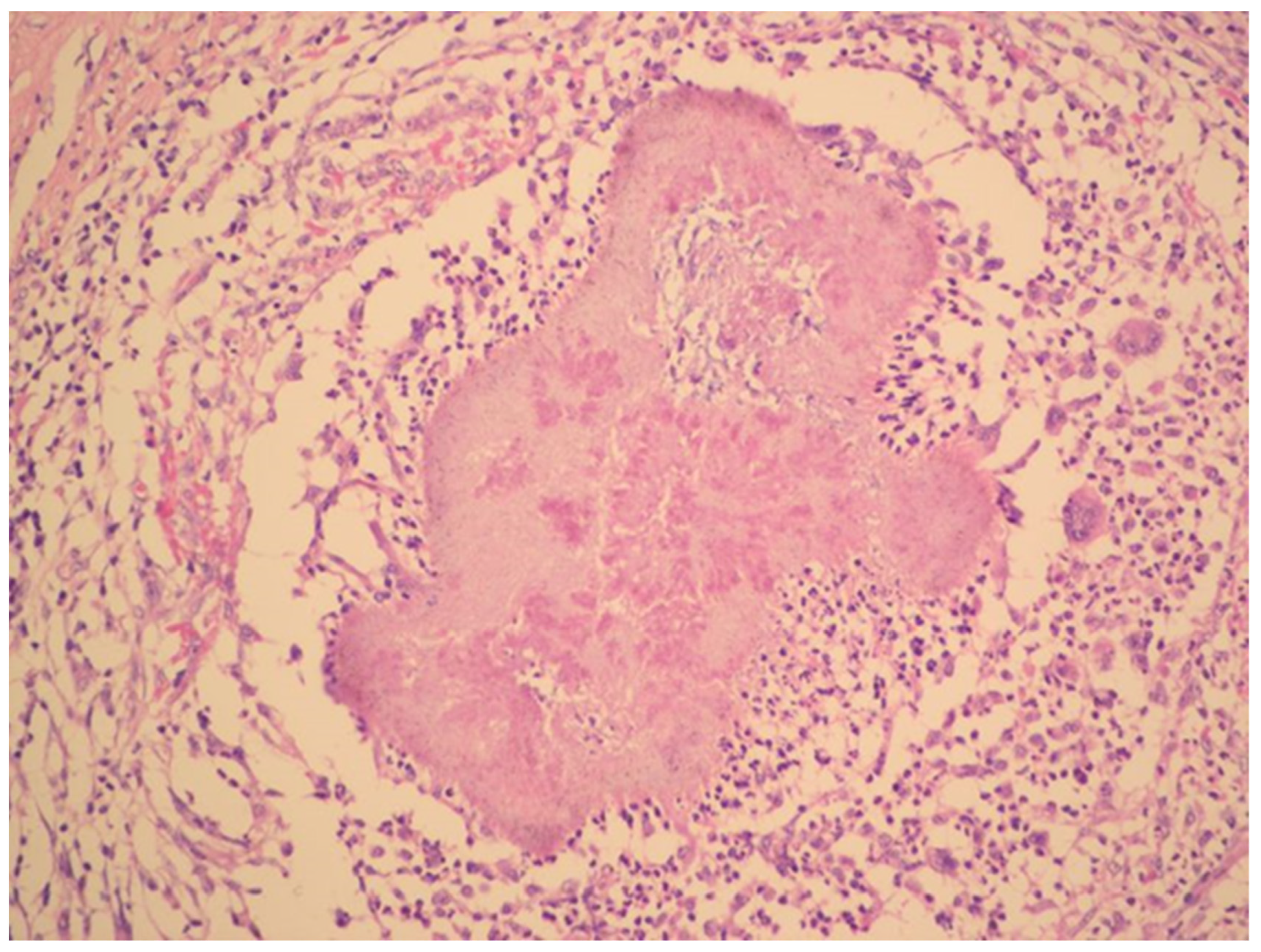 Antibiotics 09 00748 g003