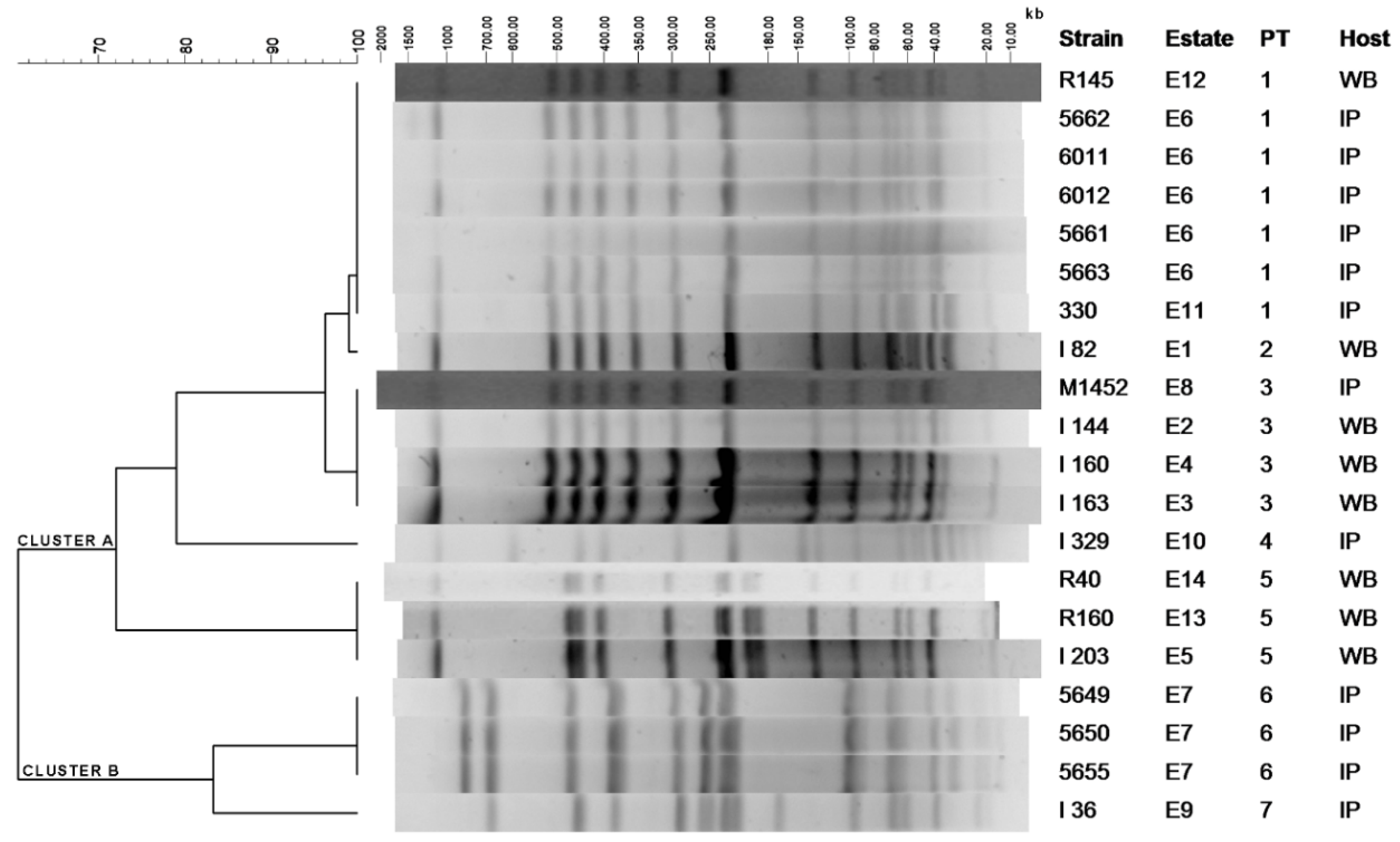 Antibiotics 09 00750 g001 Antibiotics 09 00750 g001