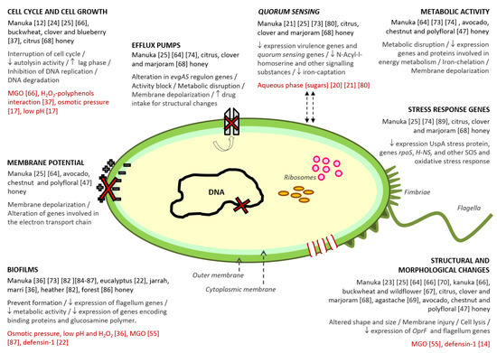 Antibiotics 09 00774 g001 550