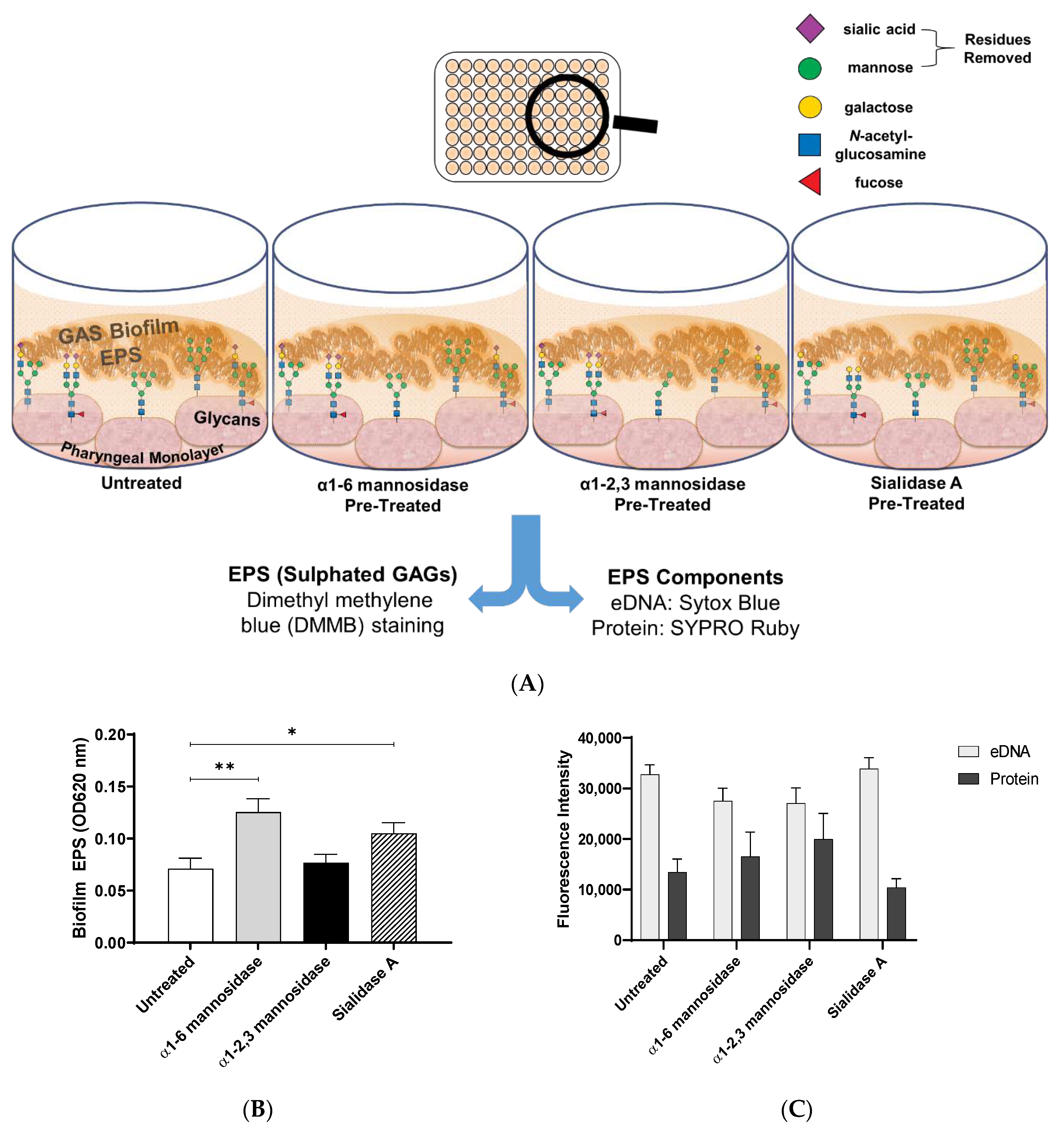Antibiotics 09 00775 g005