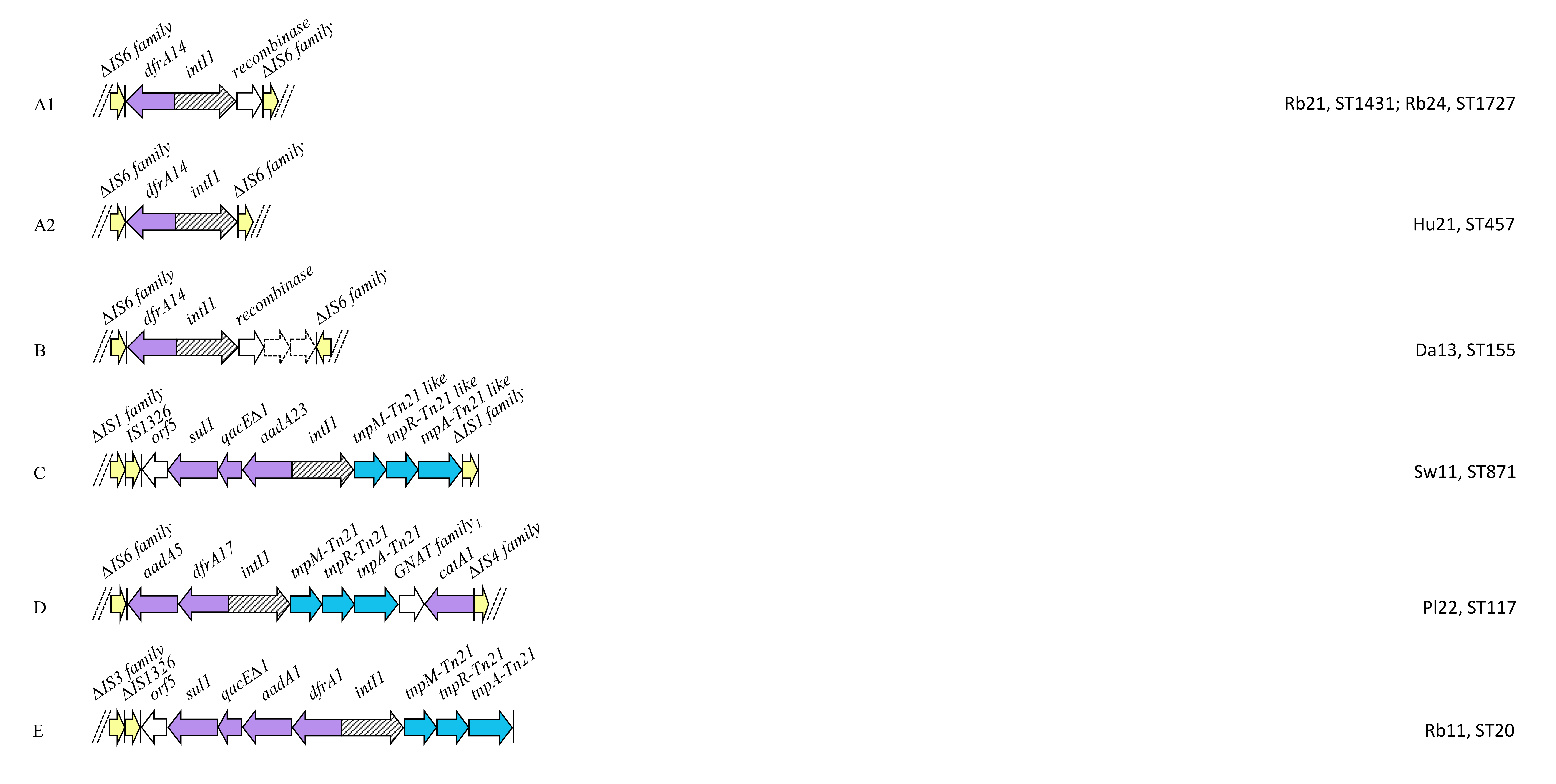 Antibiotics 09 00782 g006a Antibiotics 09 00782 g006a