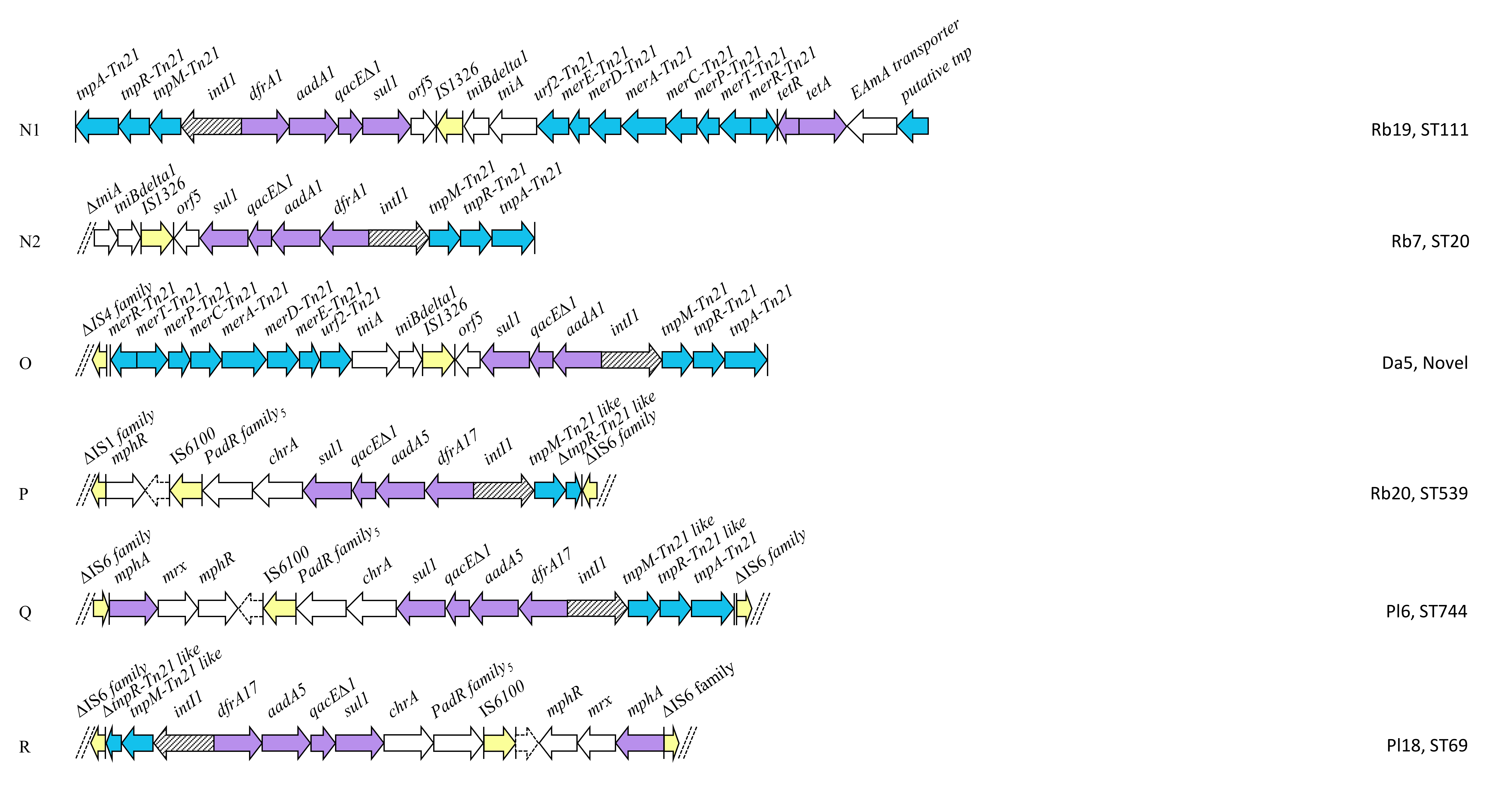 Antibiotics 09 00782 g006d Antibiotics 09 00782 g006d