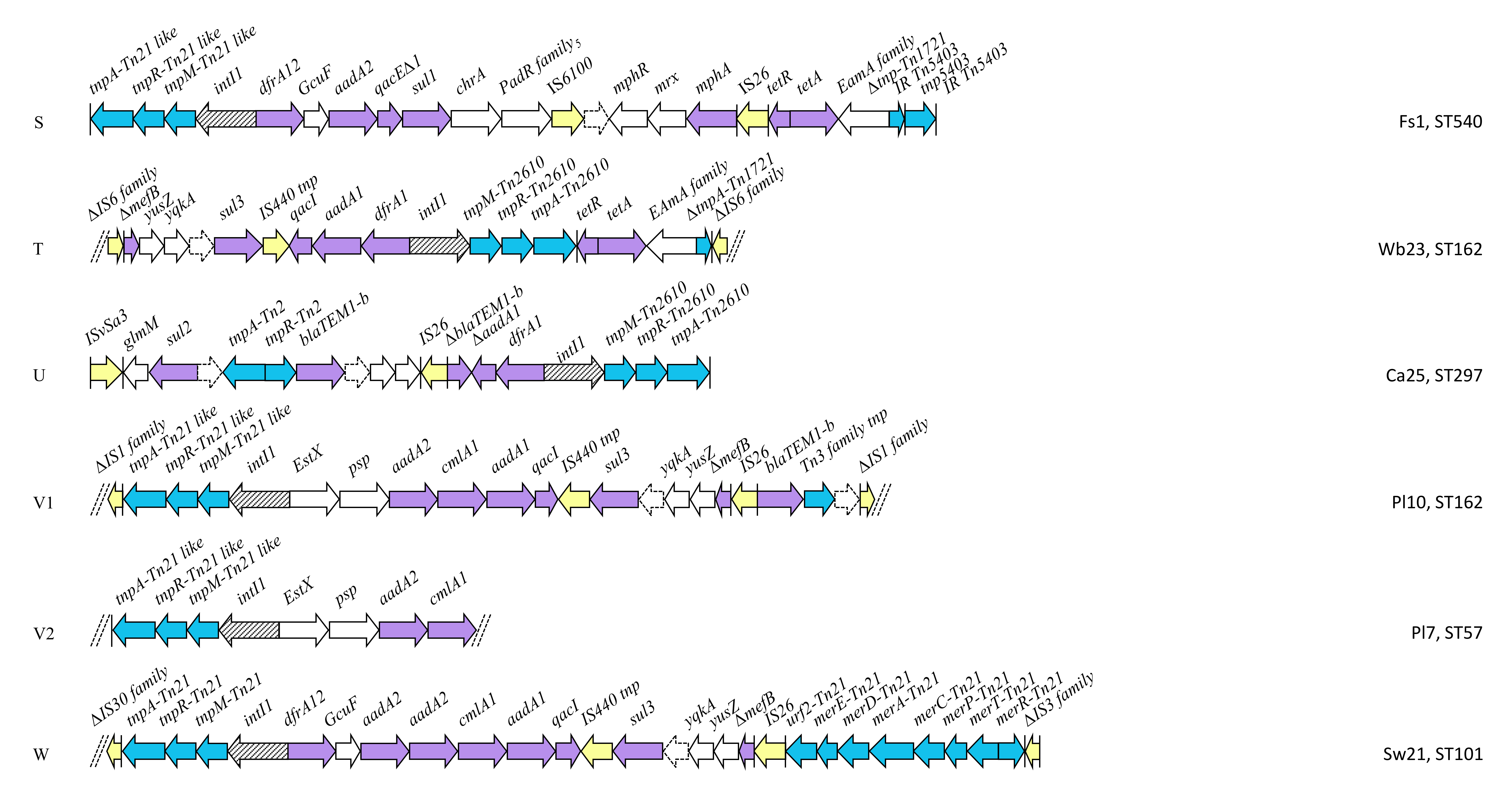 Antibiotics 09 00782 g006e Antibiotics 09 00782 g006e