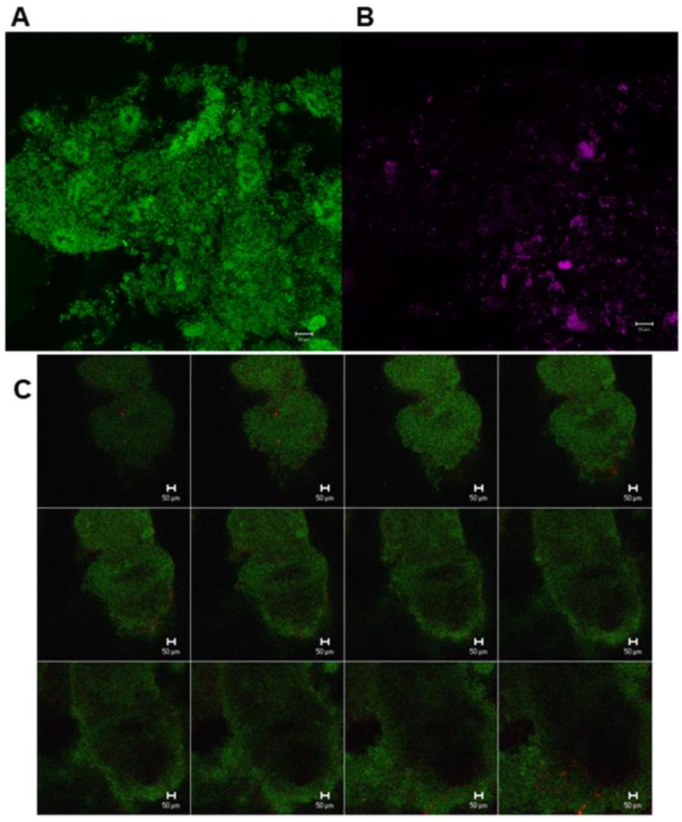 Antibiotics 09 00803 g004 Antibiotics 09 00803 g004