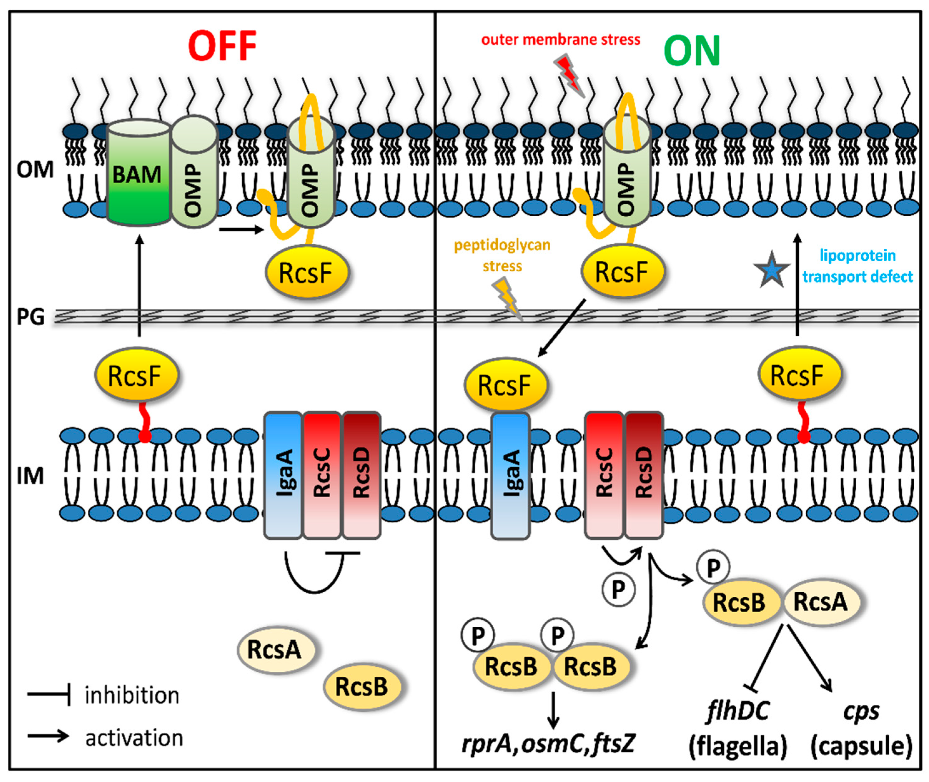 Antibiotics 09 00808 g001