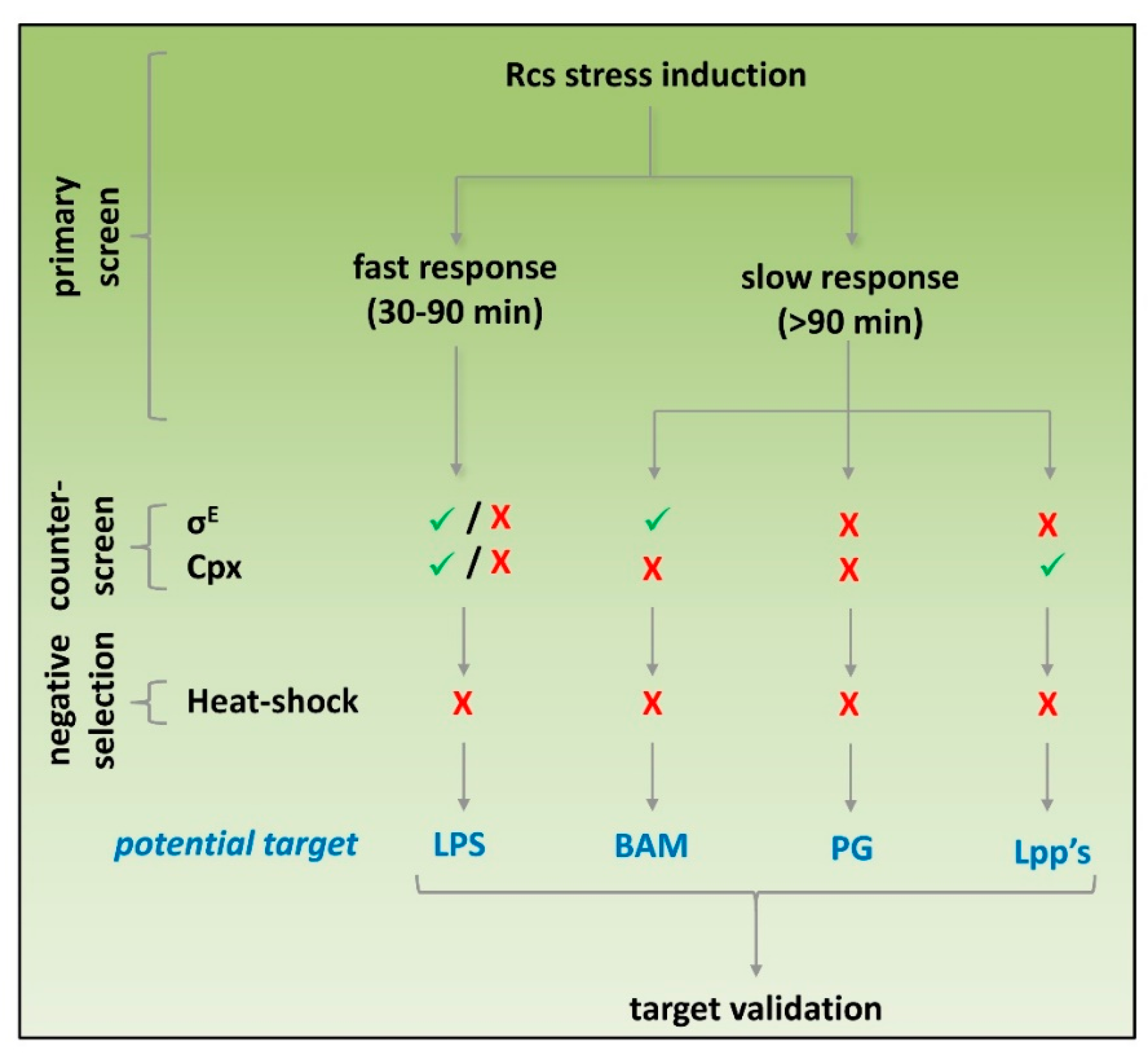 Antibiotics 09 00808 g006