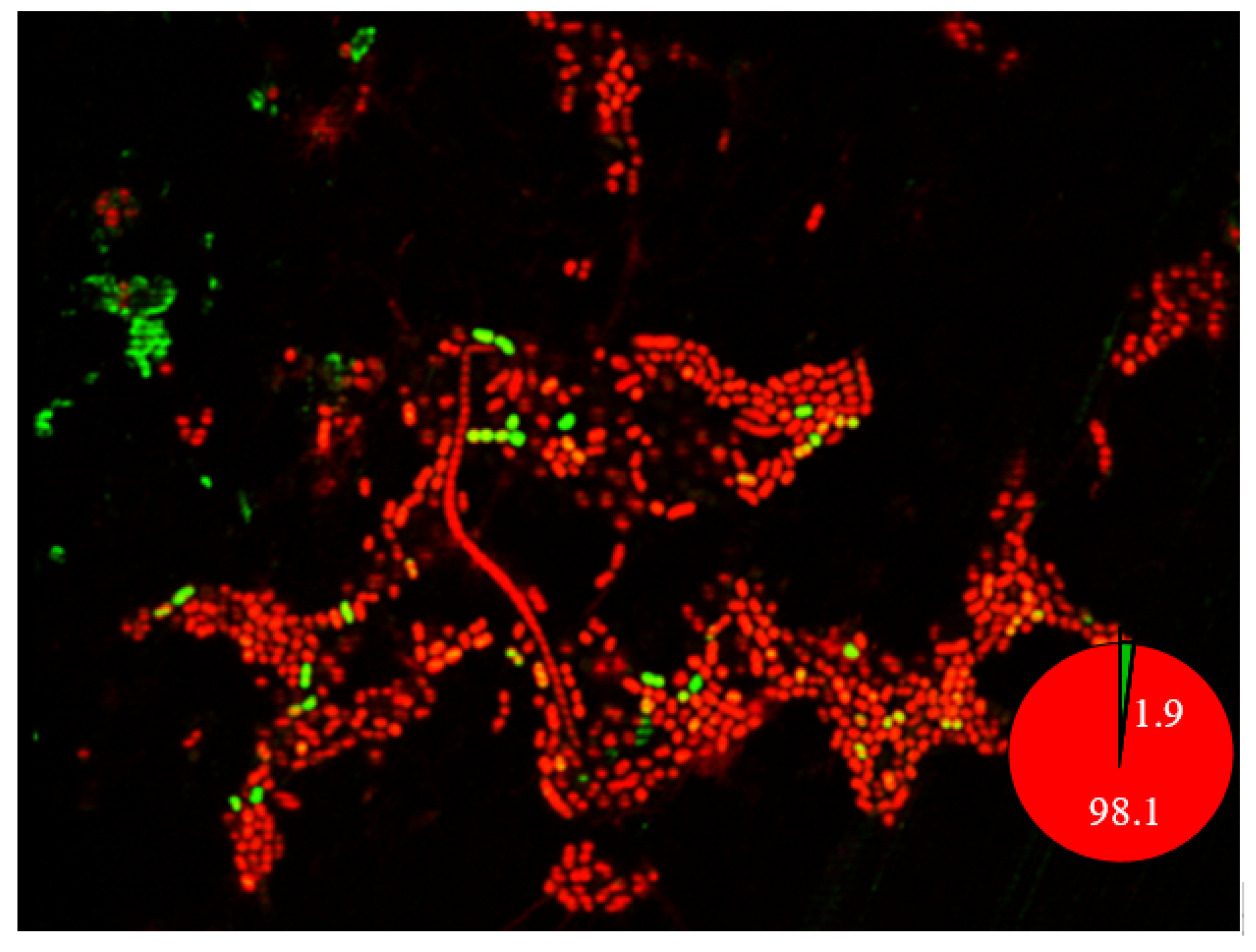 Antibiotics 09 00817 g003 Antibiotics 09 00817 g003