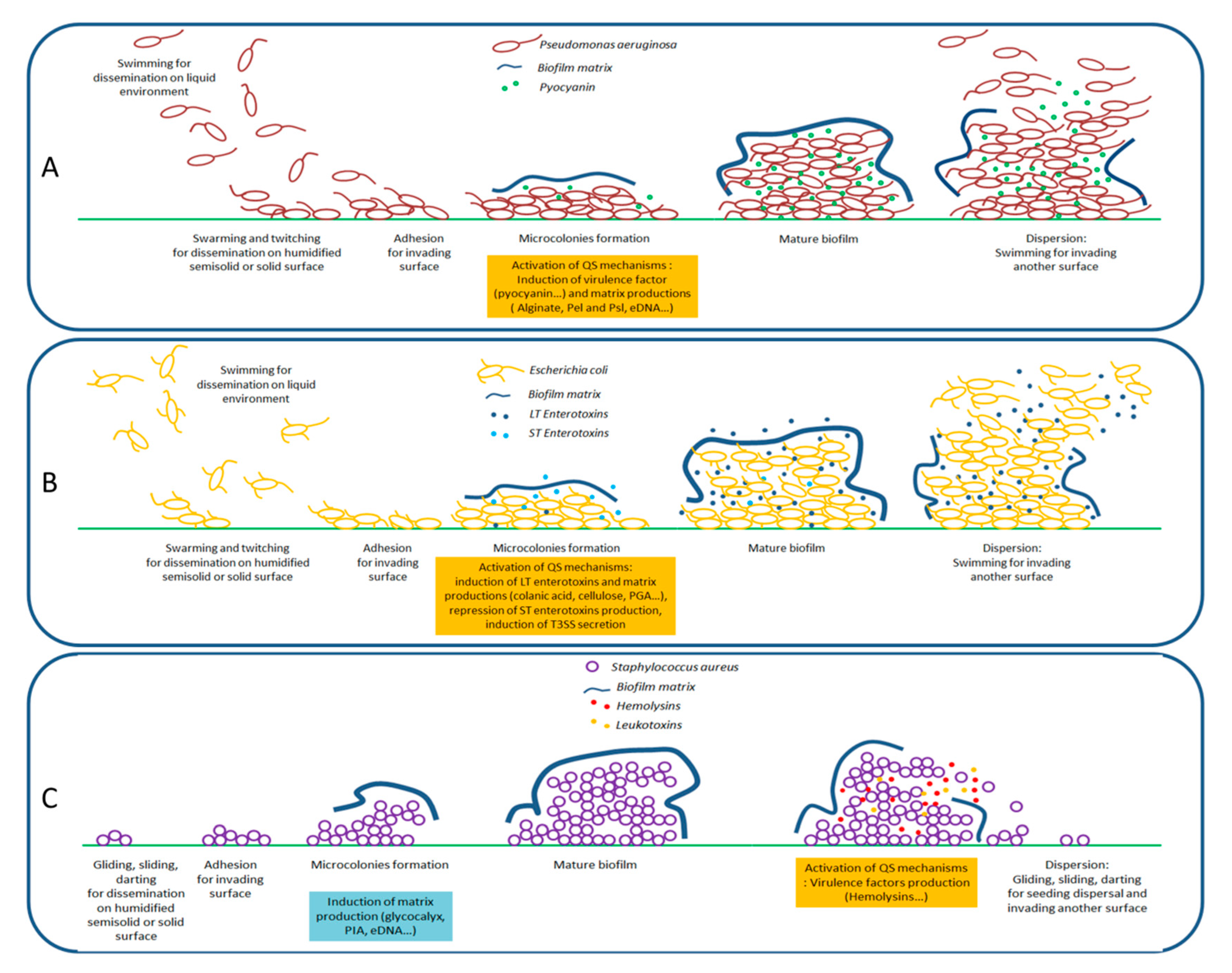 Antibiotics 09 00830 g001 Antibiotics 09 00830 g001