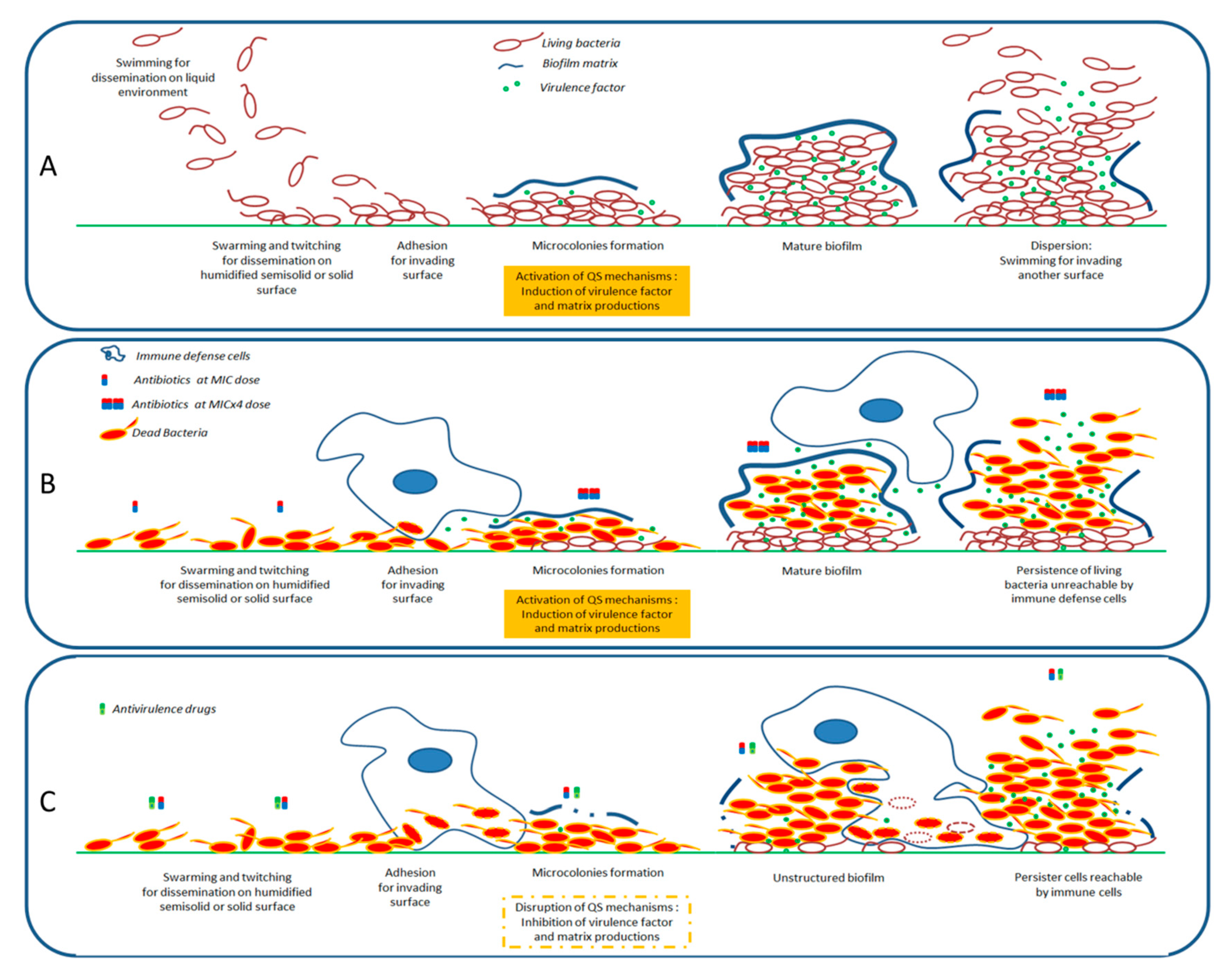 Antibiotics 09 00830 g002 Antibiotics 09 00830 g002