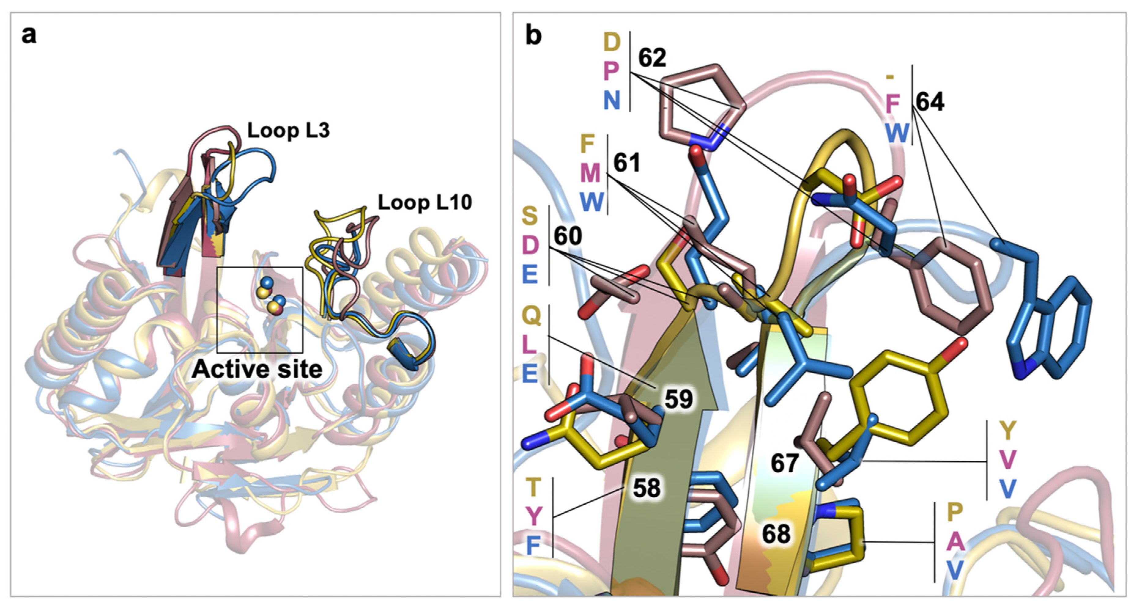 Antibiotics 09 00833 g003 Antibiotics 09 00833 g003