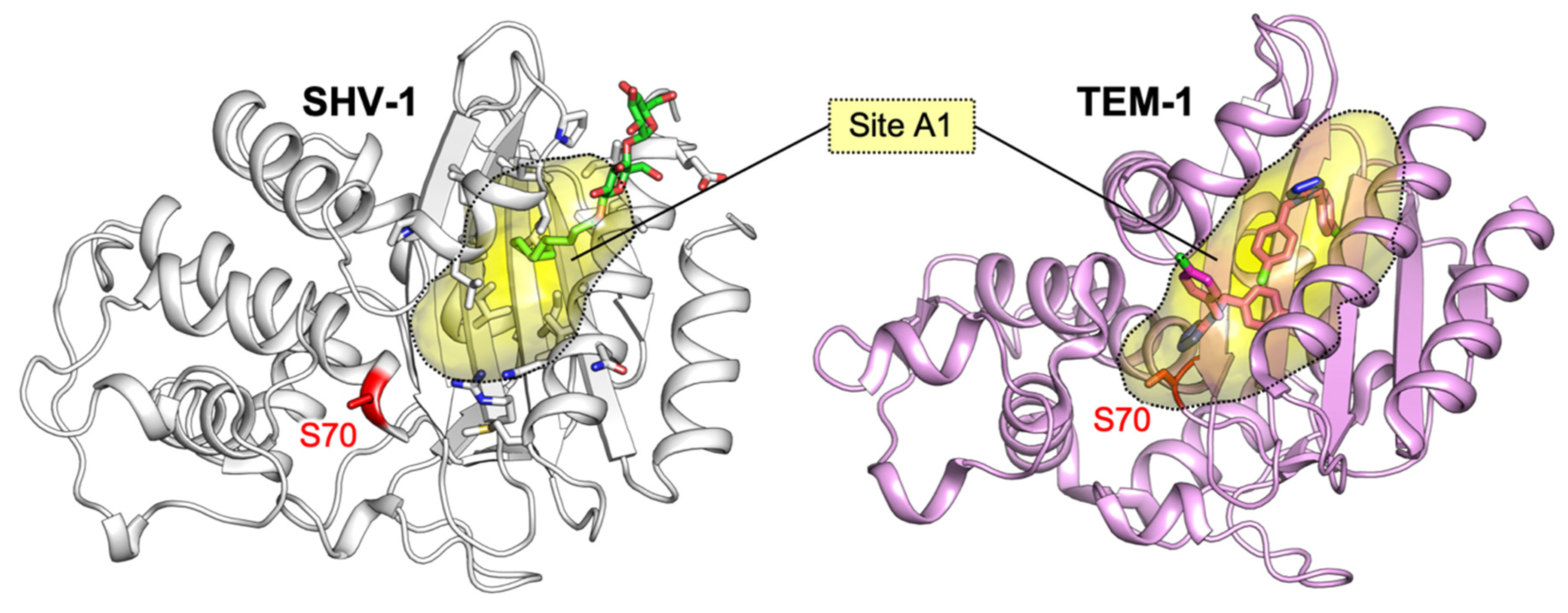 Antibiotics 09 00833 g004 Antibiotics 09 00833 g004