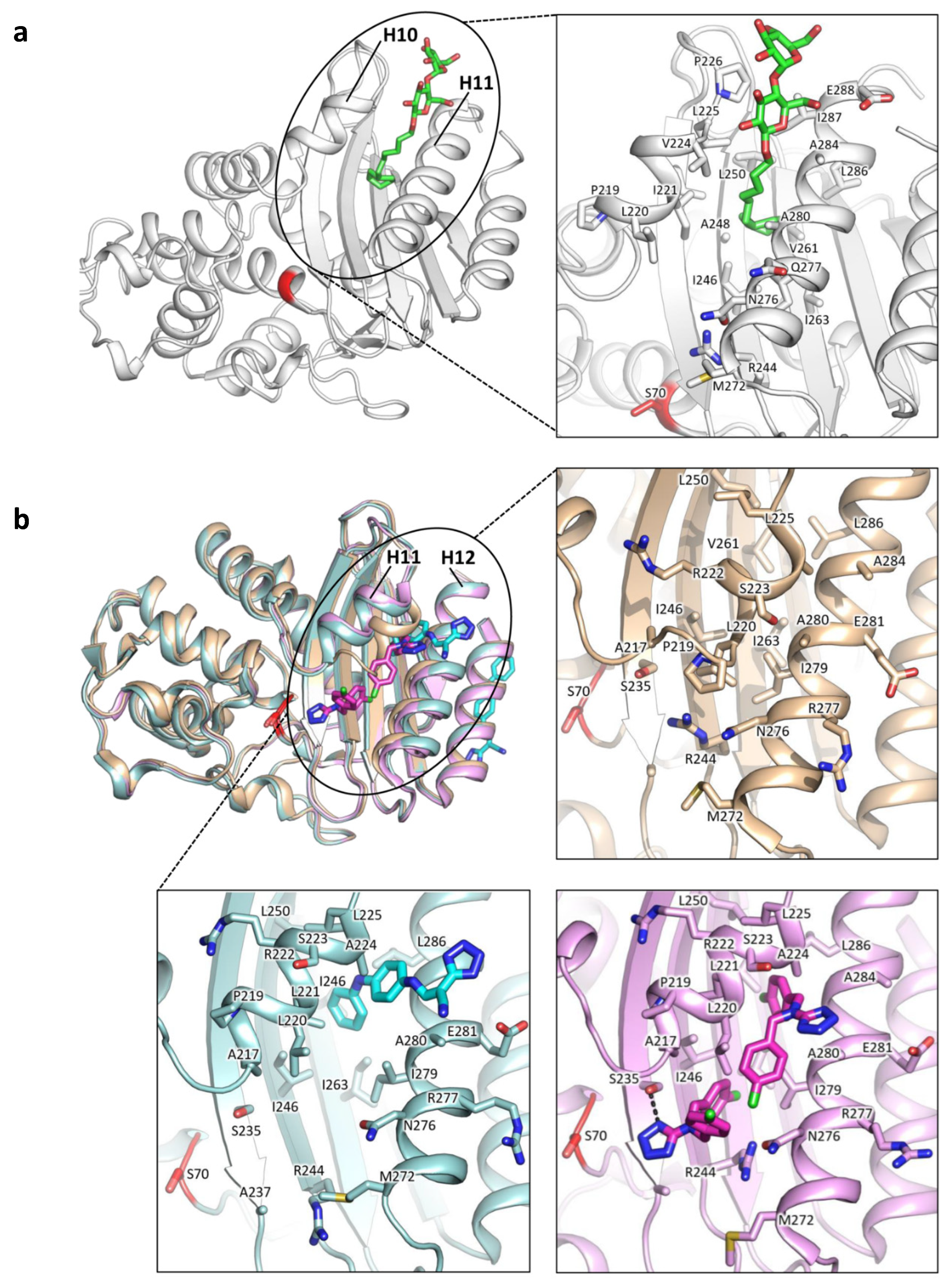 Antibiotics 09 00833 g005 Antibiotics 09 00833 g005