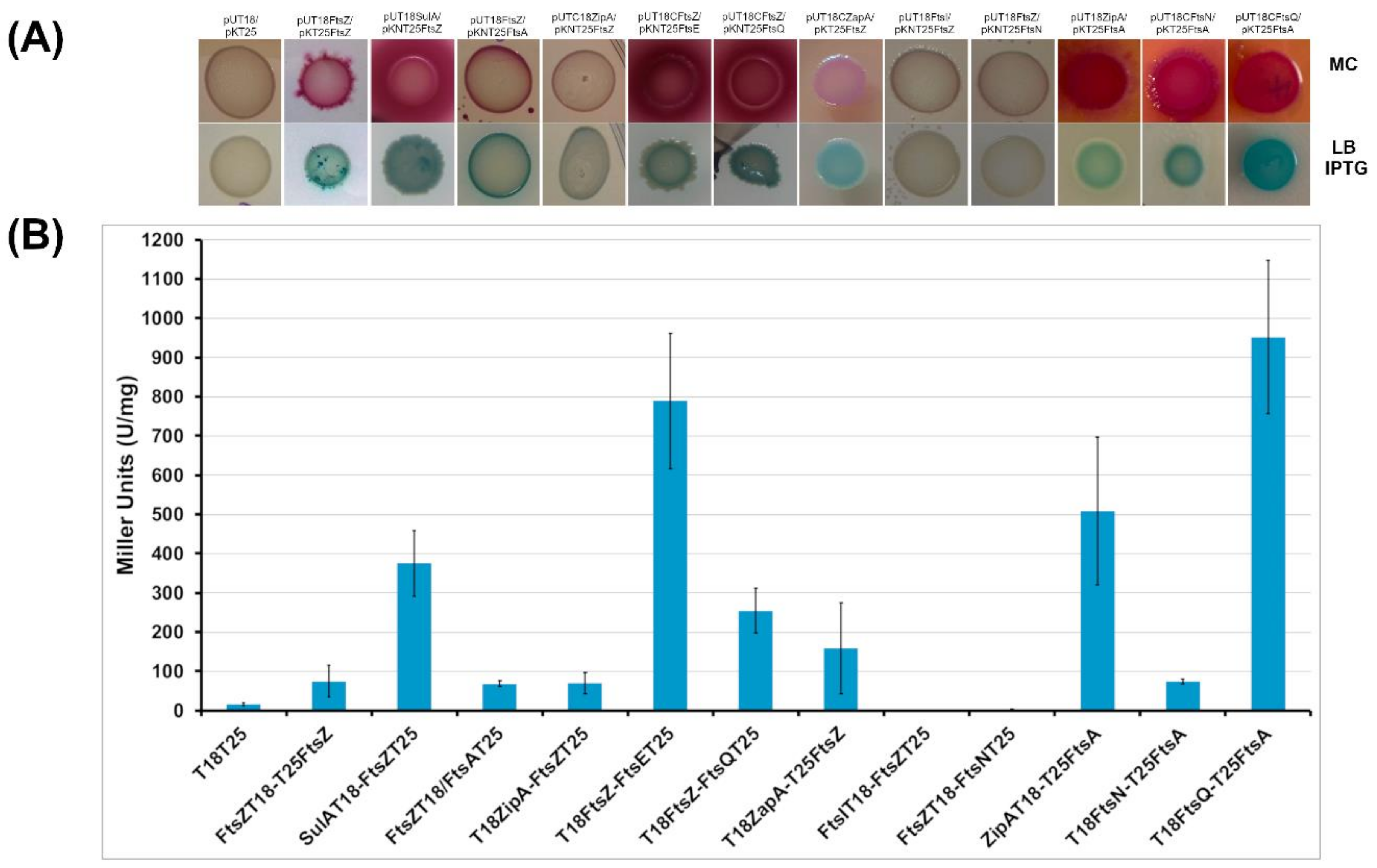 Antibiotics 09 00841 g005