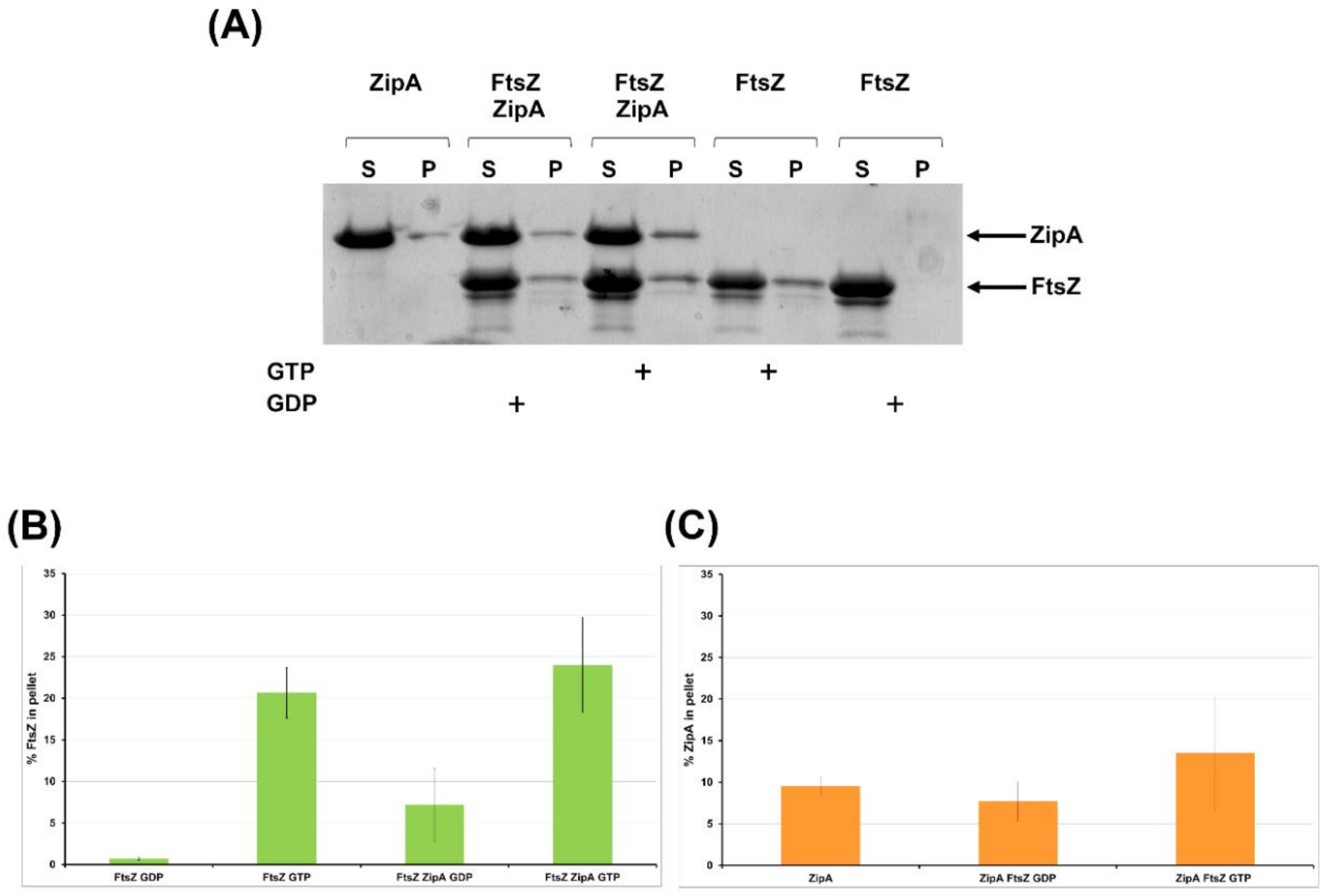 Antibiotics 09 00841 g008