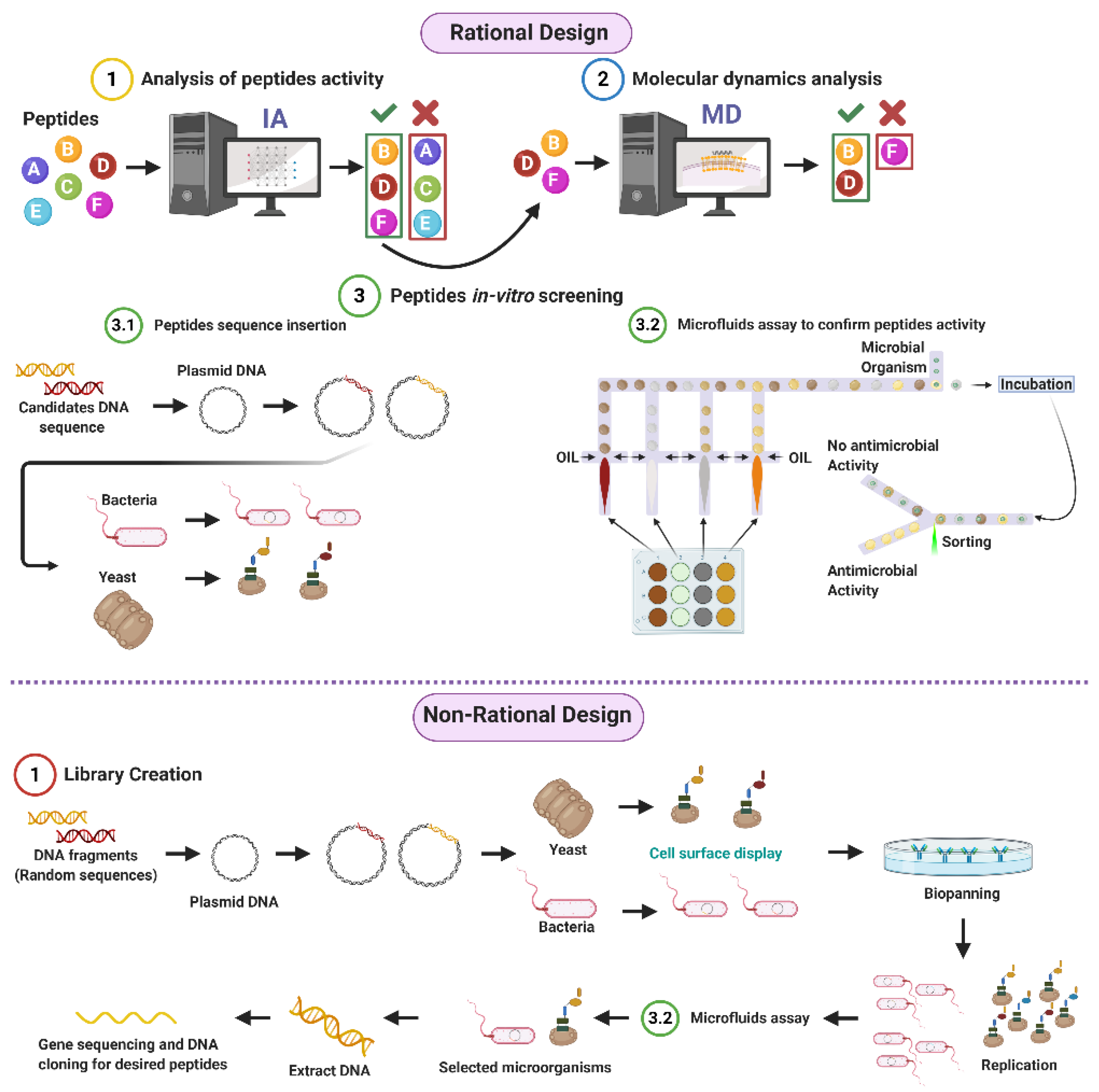 Antibiotics 09 00854 g001