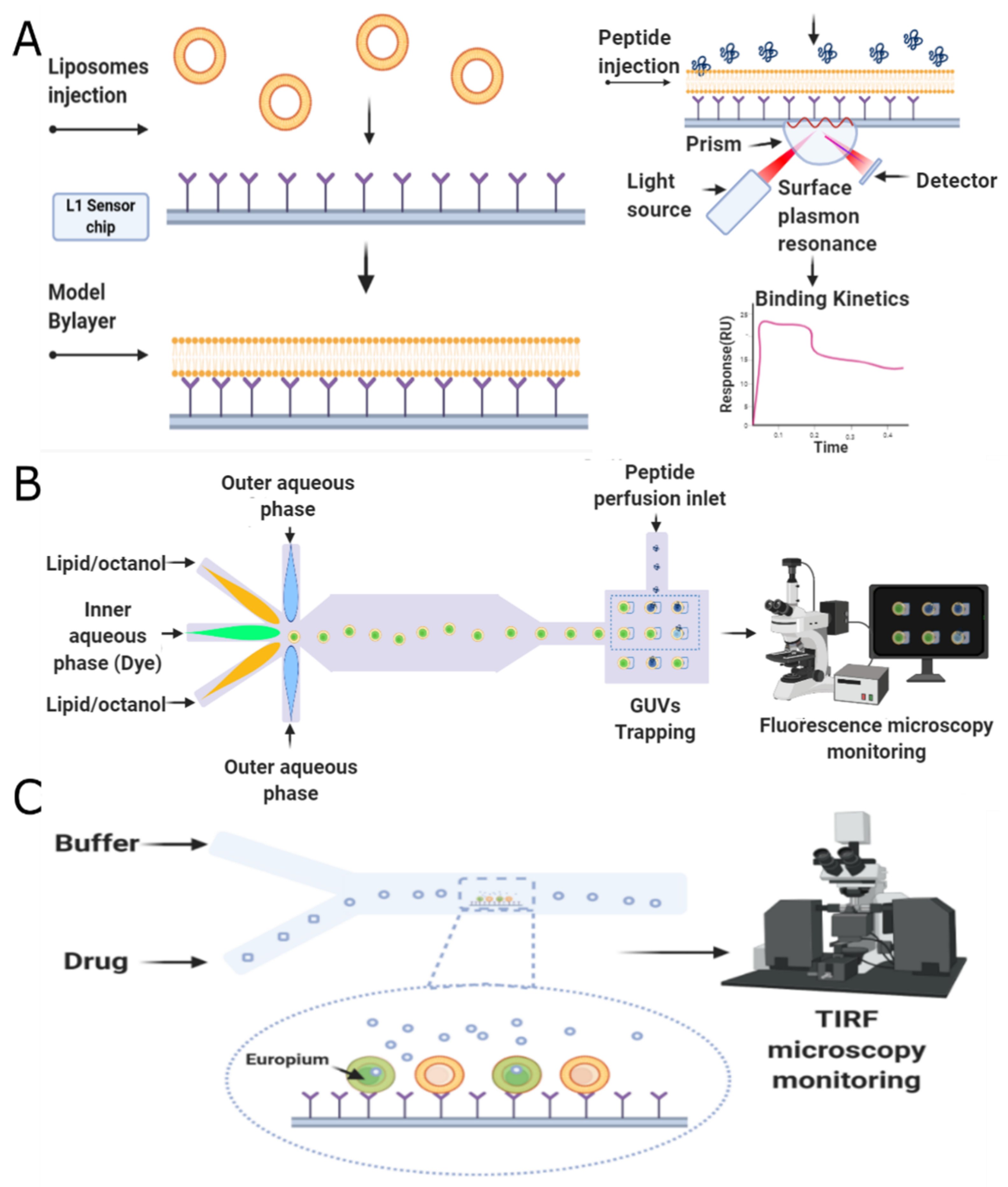Antibiotics 09 00854 g008