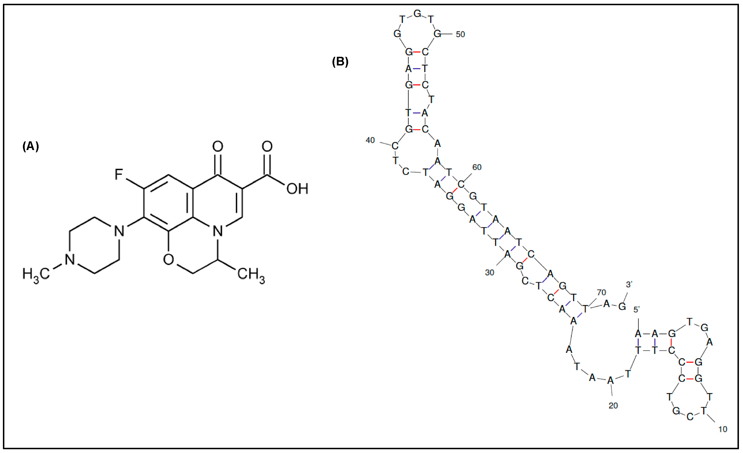 Antibiotics 09 00860 g001