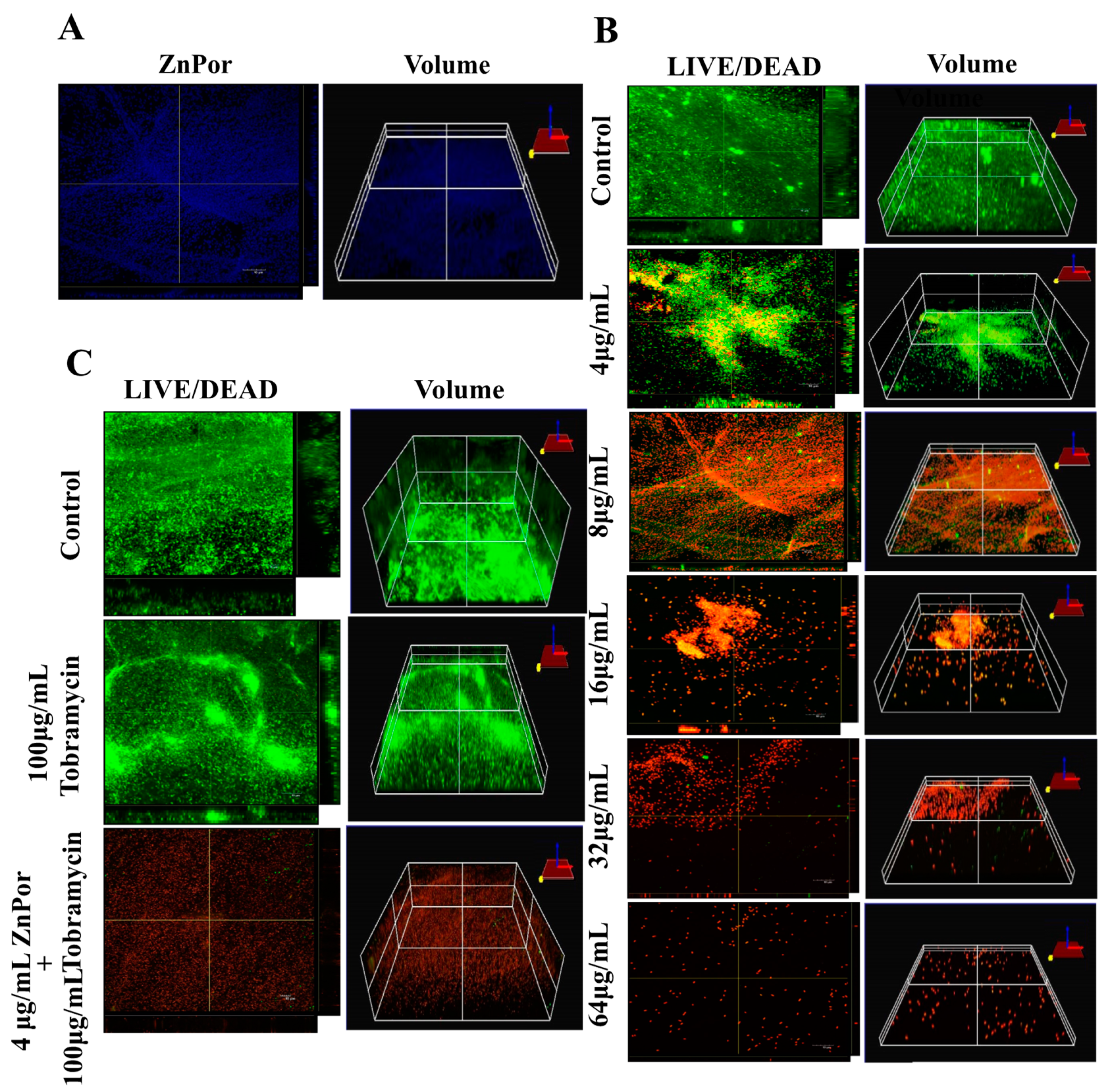 Antibiotics 09 00875 g002