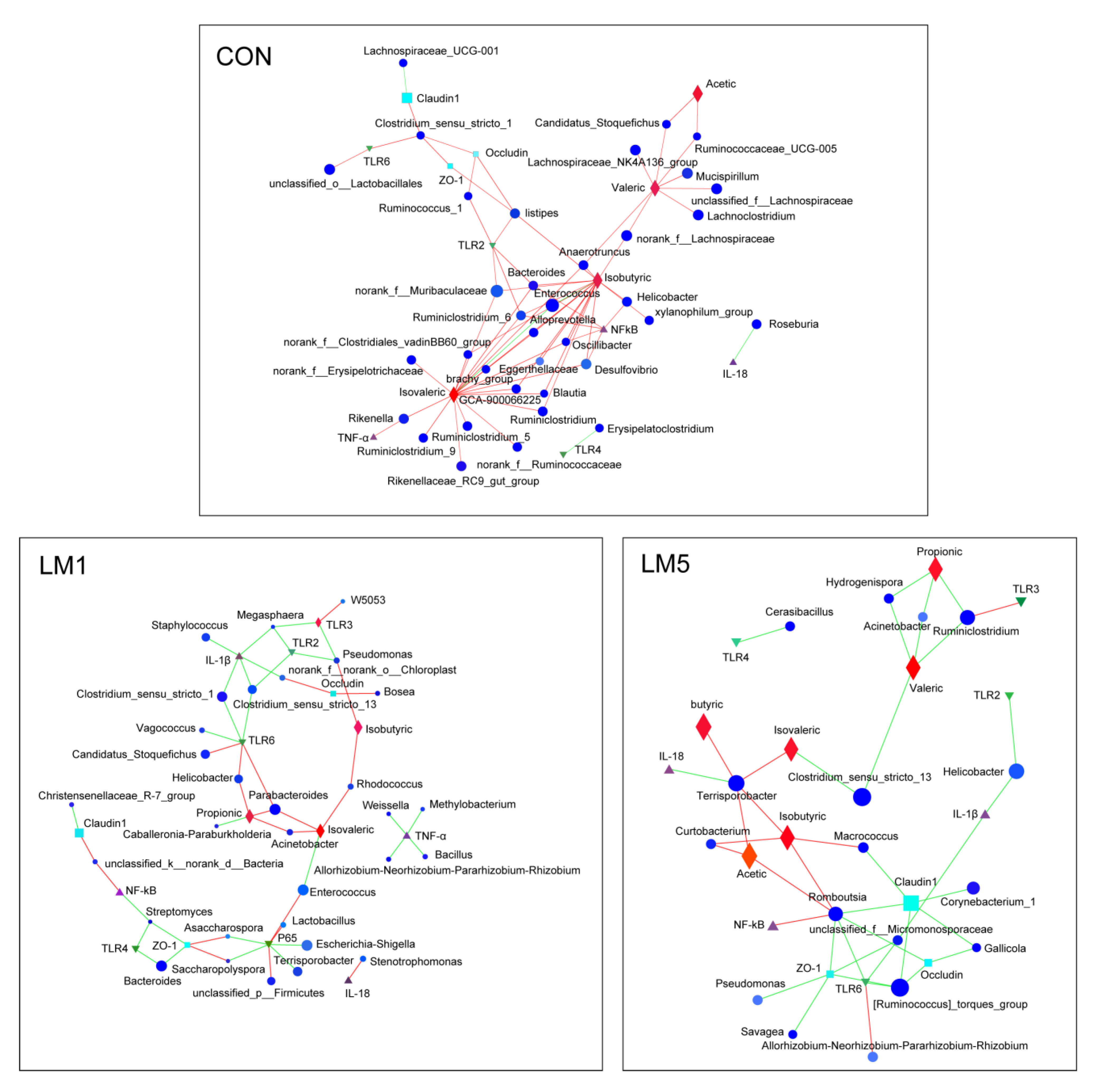 Antibiotics 09 00907 g008